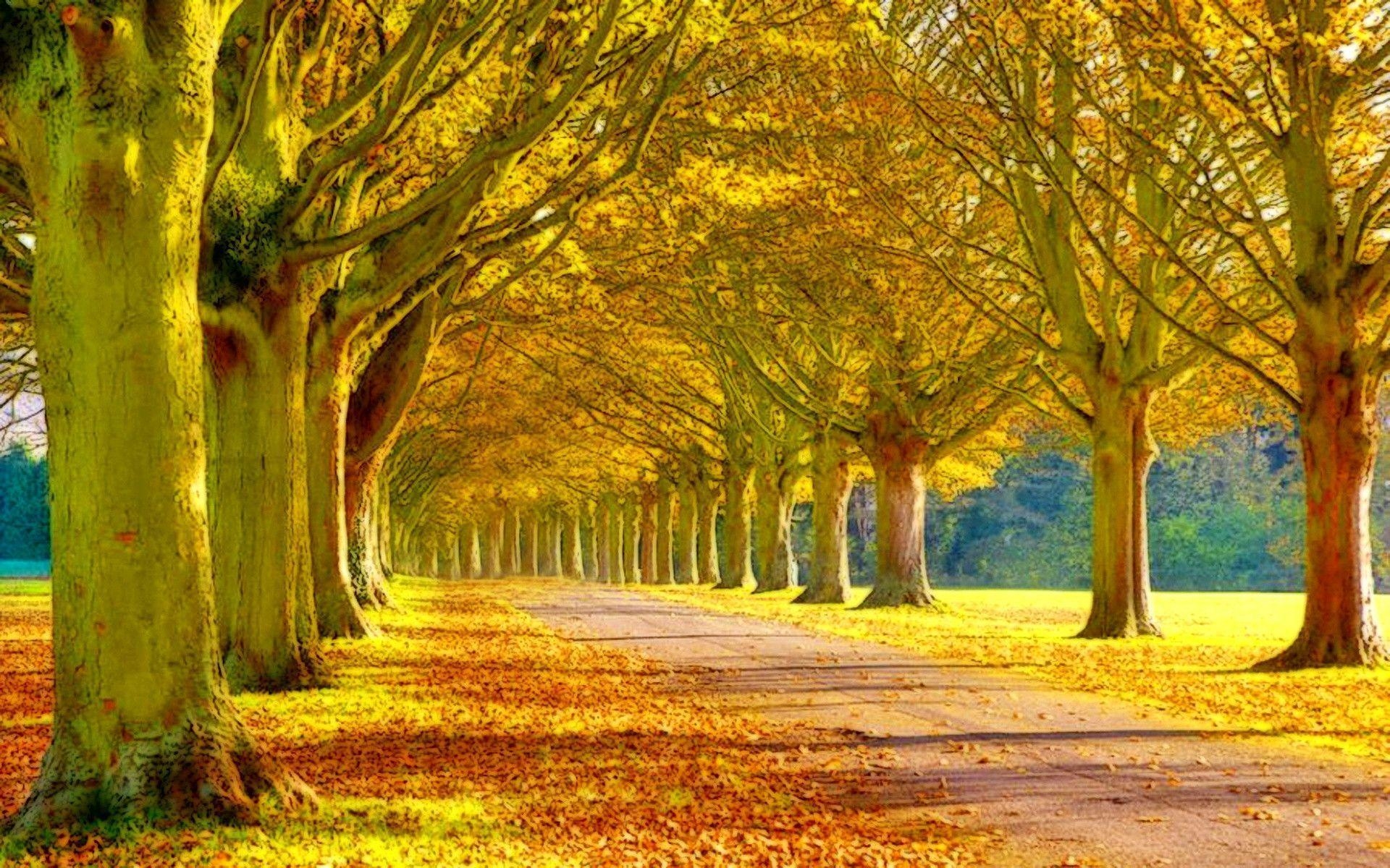 1920x1200 Beautiful Autumn Street, Desktop