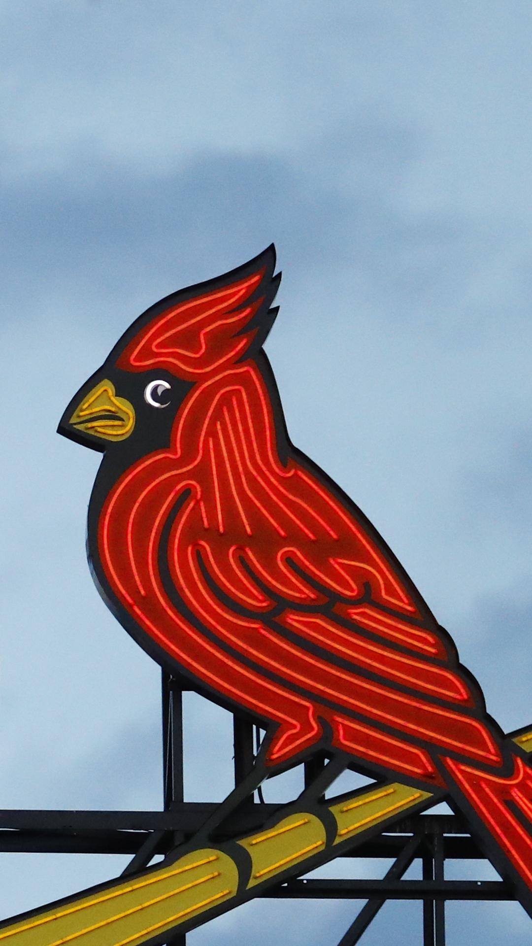 1080x1920 St. Louis Cardinals - ✨ all, Phone