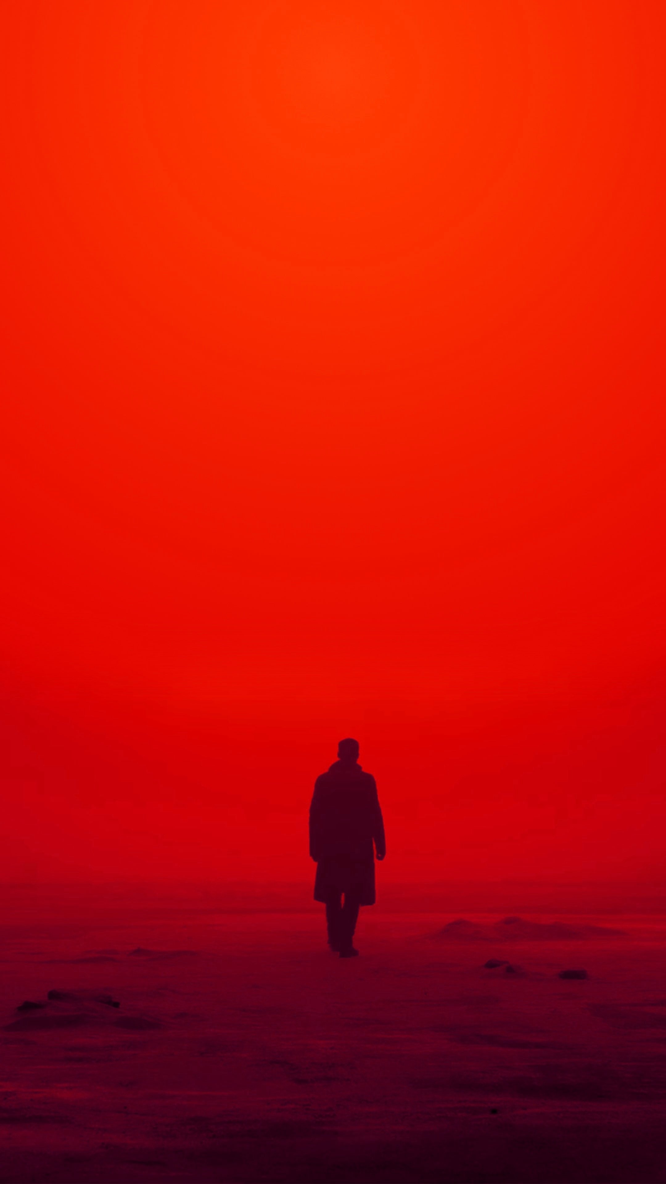 2160x3840 Blade Runner 2049 Wallpaper, Phone