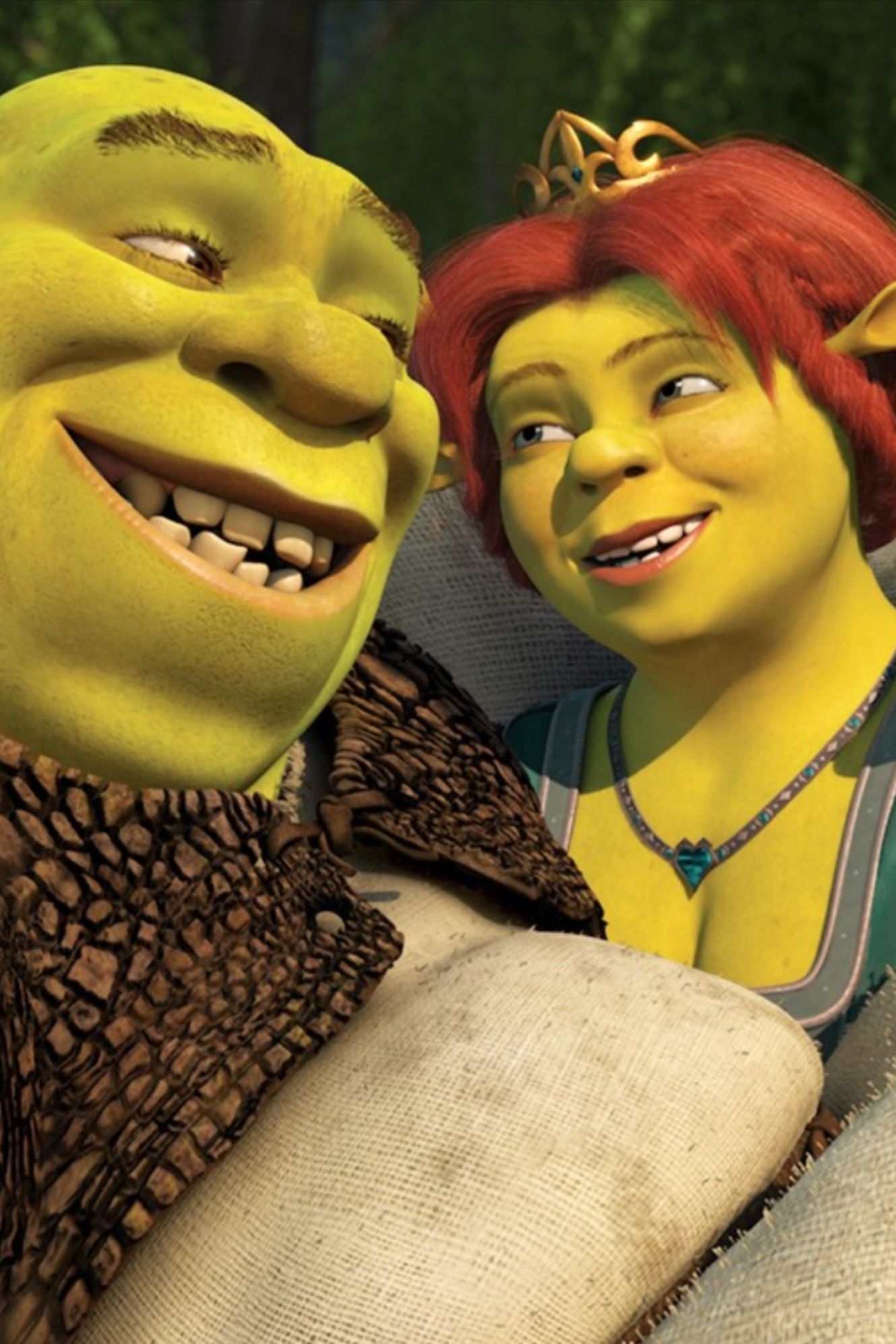 1330x2000 Shrek. Shrek, Fiona shrek, Princess fiona, Phone