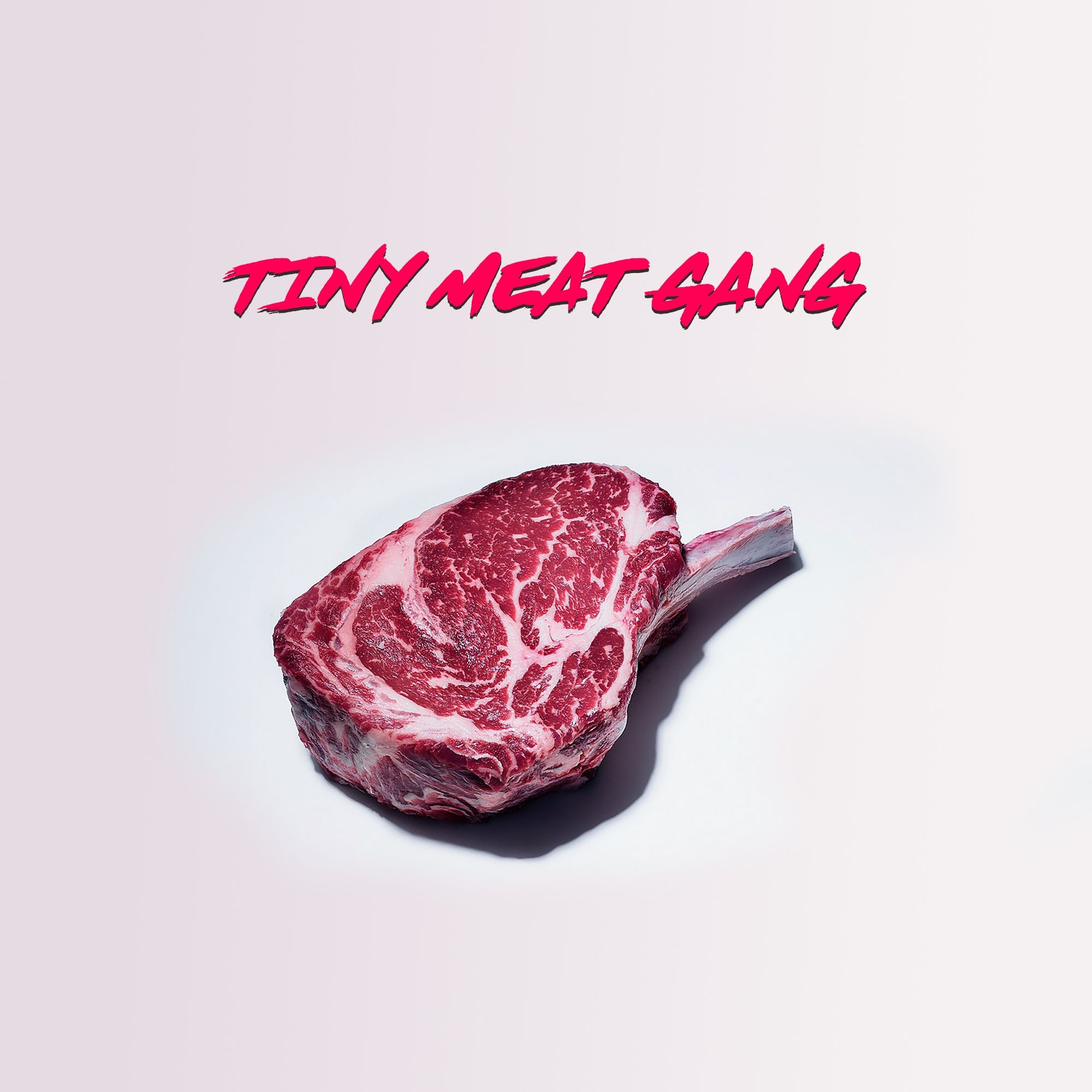 2000x2000 The Tiny Meat Gang Podcast, Phone