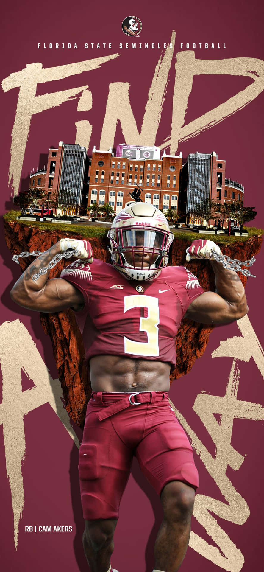 890x1920 Fsu Wallpaper, Phone