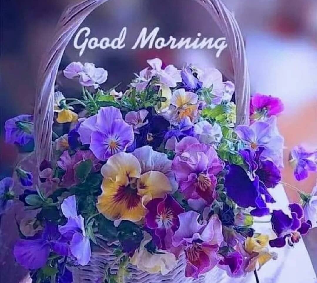 1080x970 good morning flowers image free download for whatsapp video, Desktop