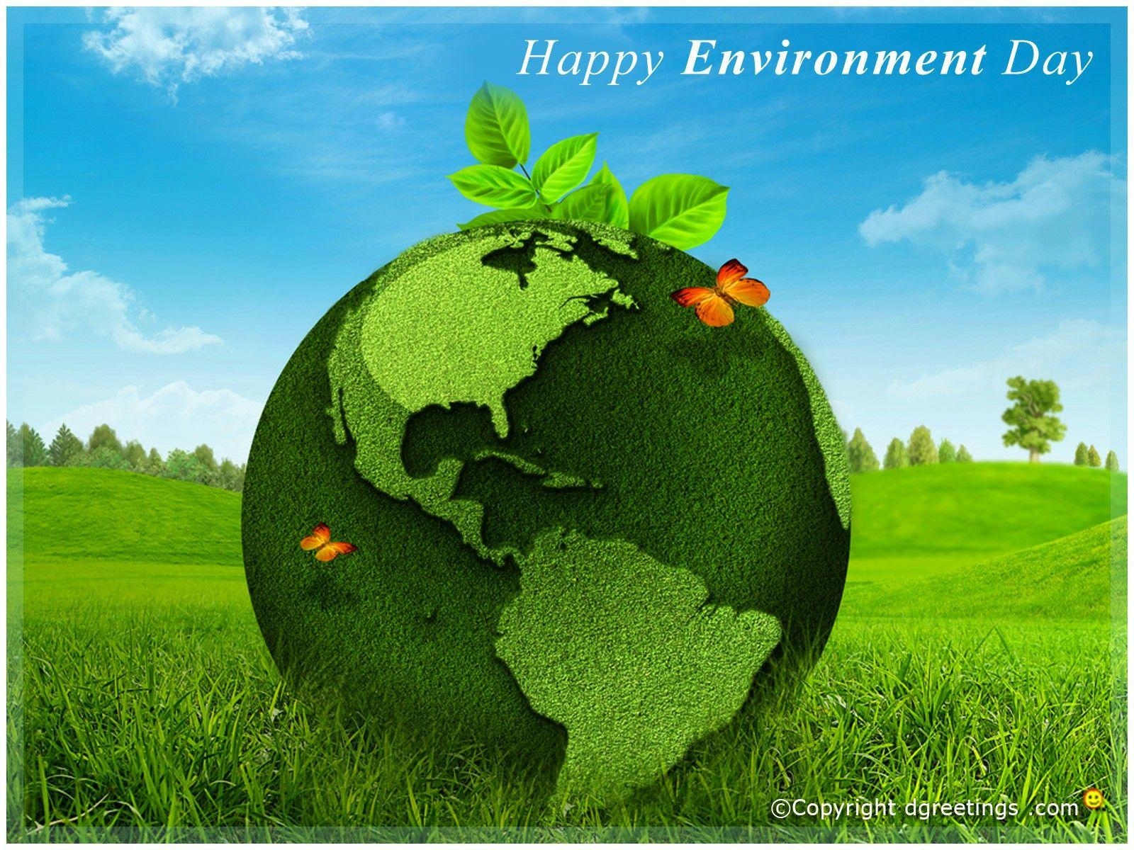 1600x1200 World Environment Day Wallpaper Desktop Background, Desktop