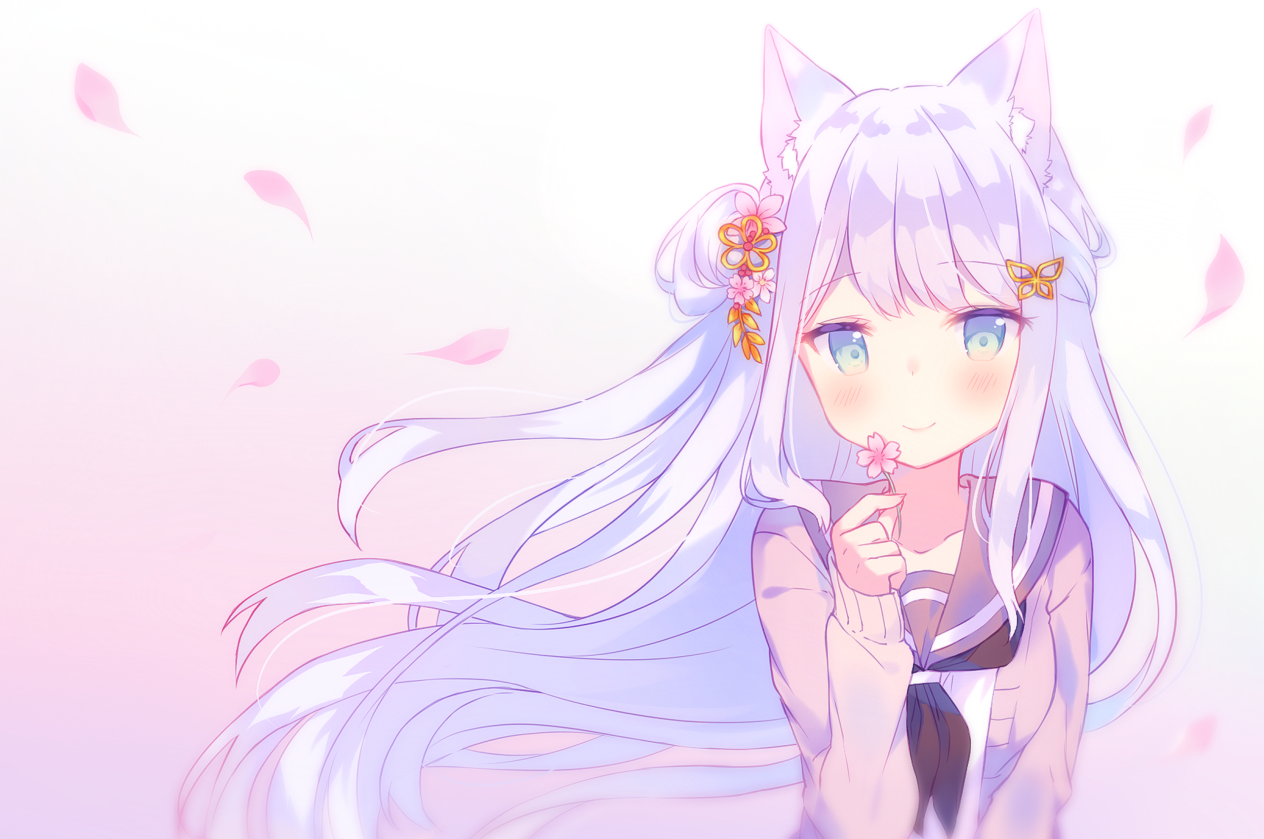 2560x1700 Download  Anime Cat Girl, Cute, Loli, Long Hair, Animal Ears, Petals, Wind Wallpaper for Chromebook Pixel, Desktop