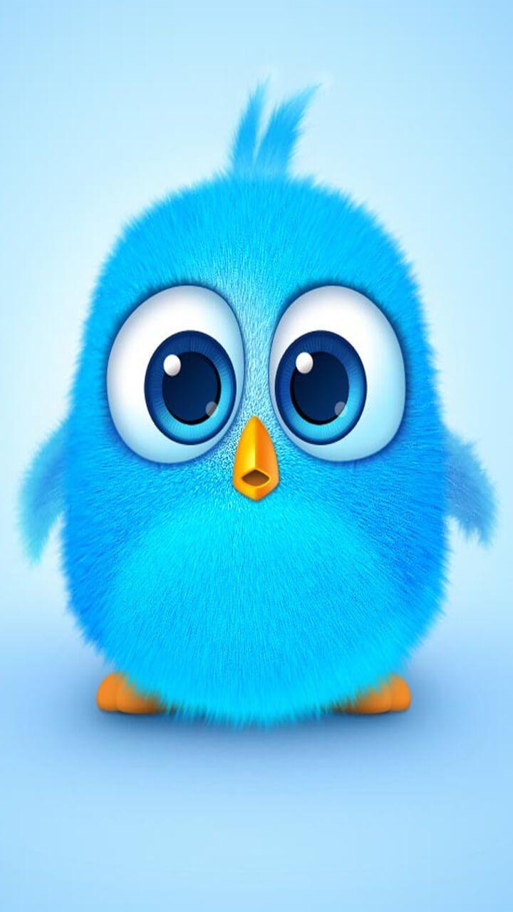 720x1280 Angry bird, cute blue. Curious bird for your wallpaper. #bird, Phone