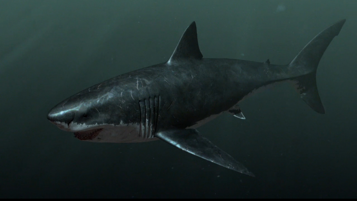 1200x680 Megalodon Sharkzilla Wallpaper HD Sharks Sharkzilla Giant Megalodon Shark HD Wallpaper, Desktop