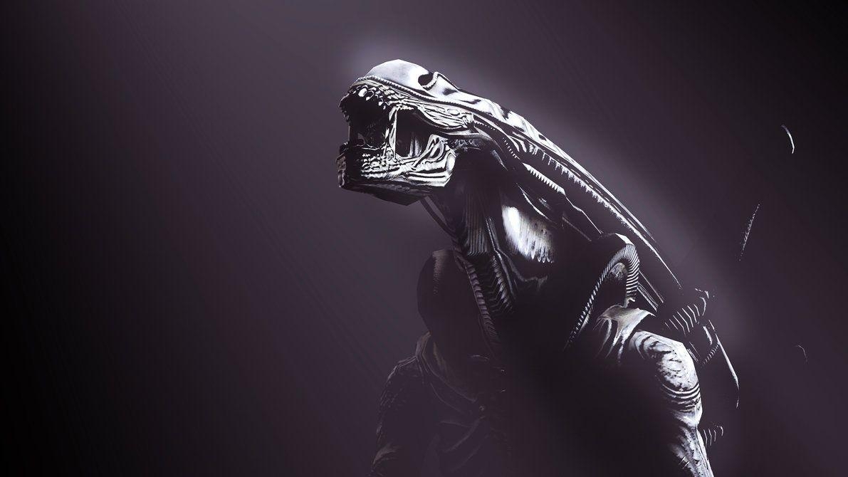 1200x670 Xenomorph Gallery 563475783 Wallpaper for Free Full HD Pic, Desktop