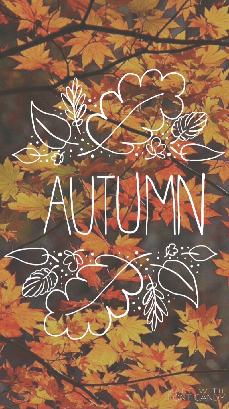 800x1430 Hello Autumn iPhone Wallpaper Free Hello Autumn iPhone Background, Phone