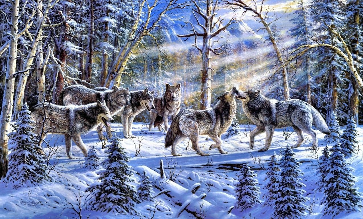 1280x770 Wolf pack. Winter wolves, Wolf painting, Wolf art, Desktop