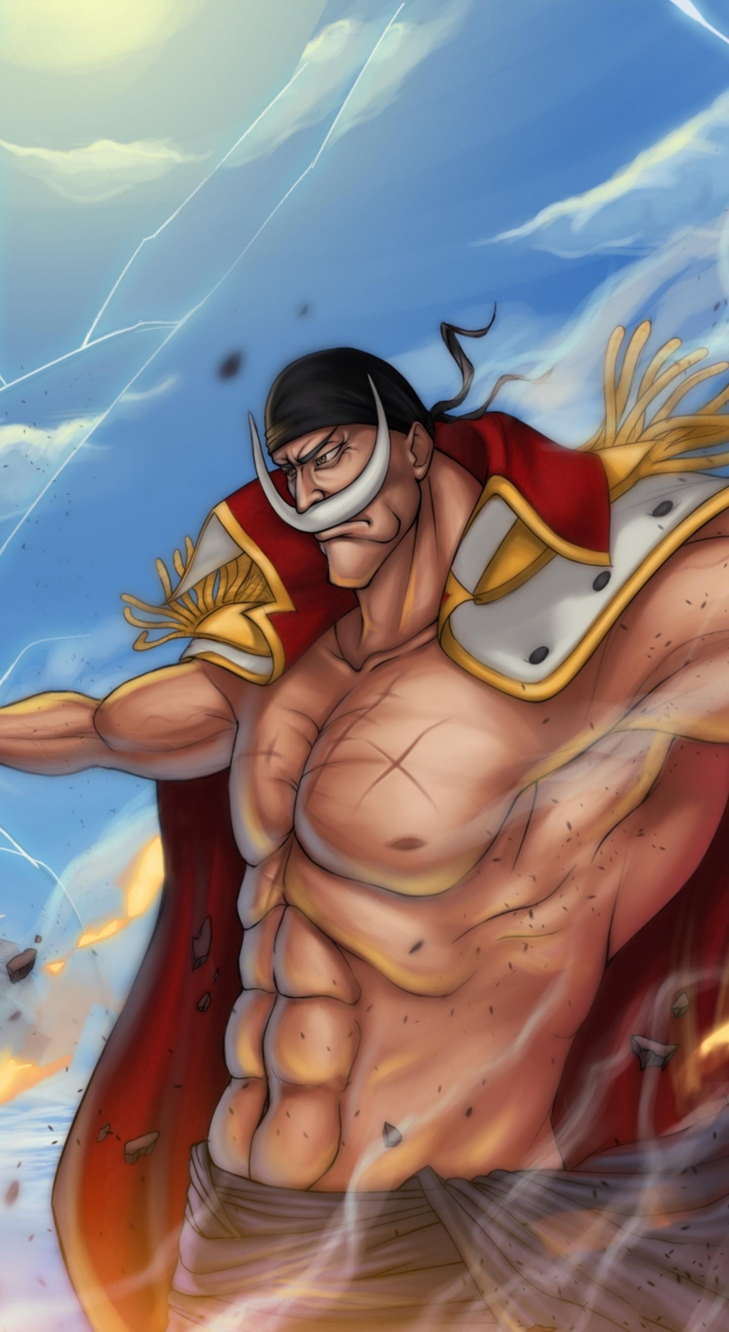 1440x2630 Download  wallpaper whitebeard, pirate boss, edward, Phone