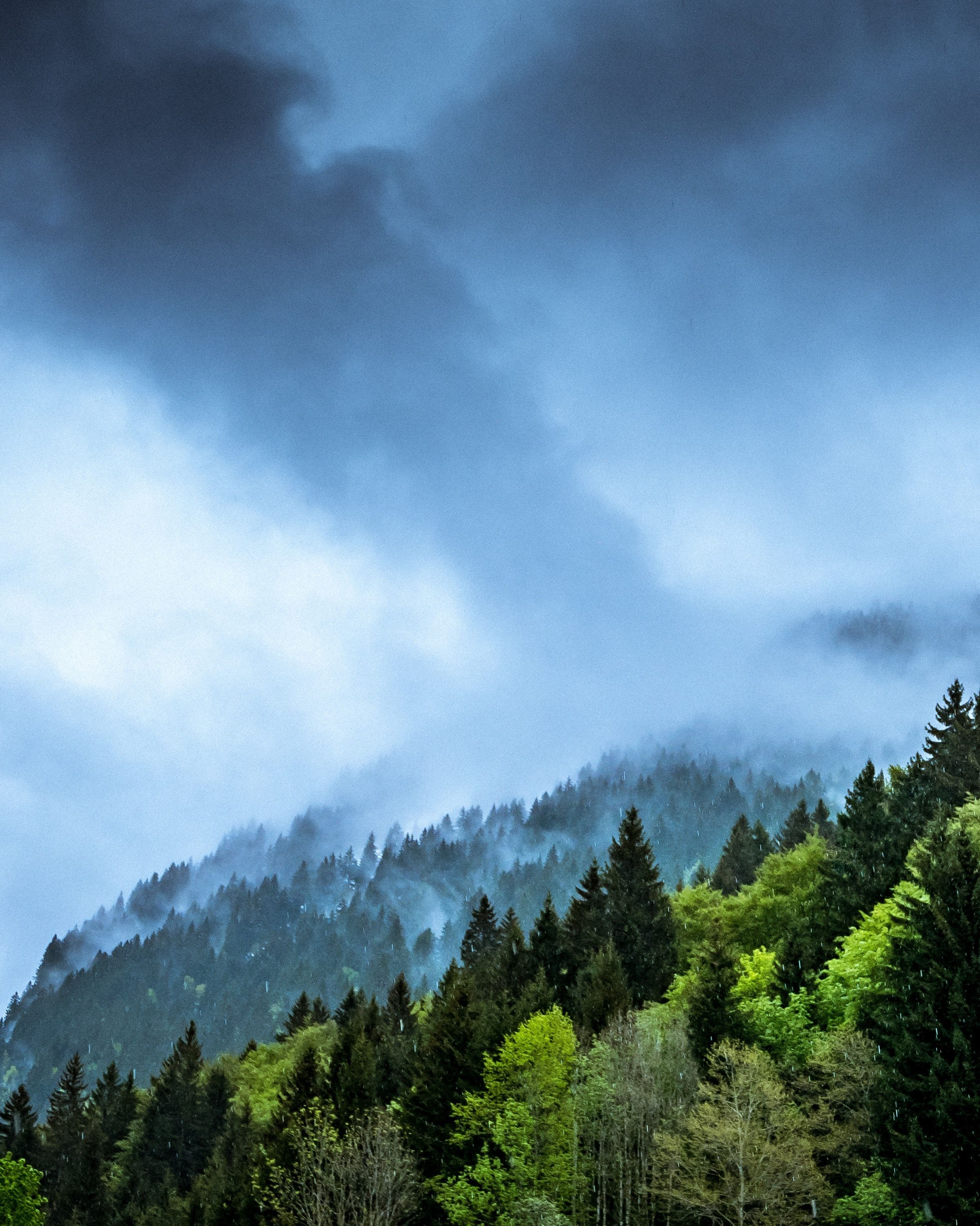 2400x3000 Nature #tree, mountain, cloud, fog, mist #wallpaper HD 4k, Phone