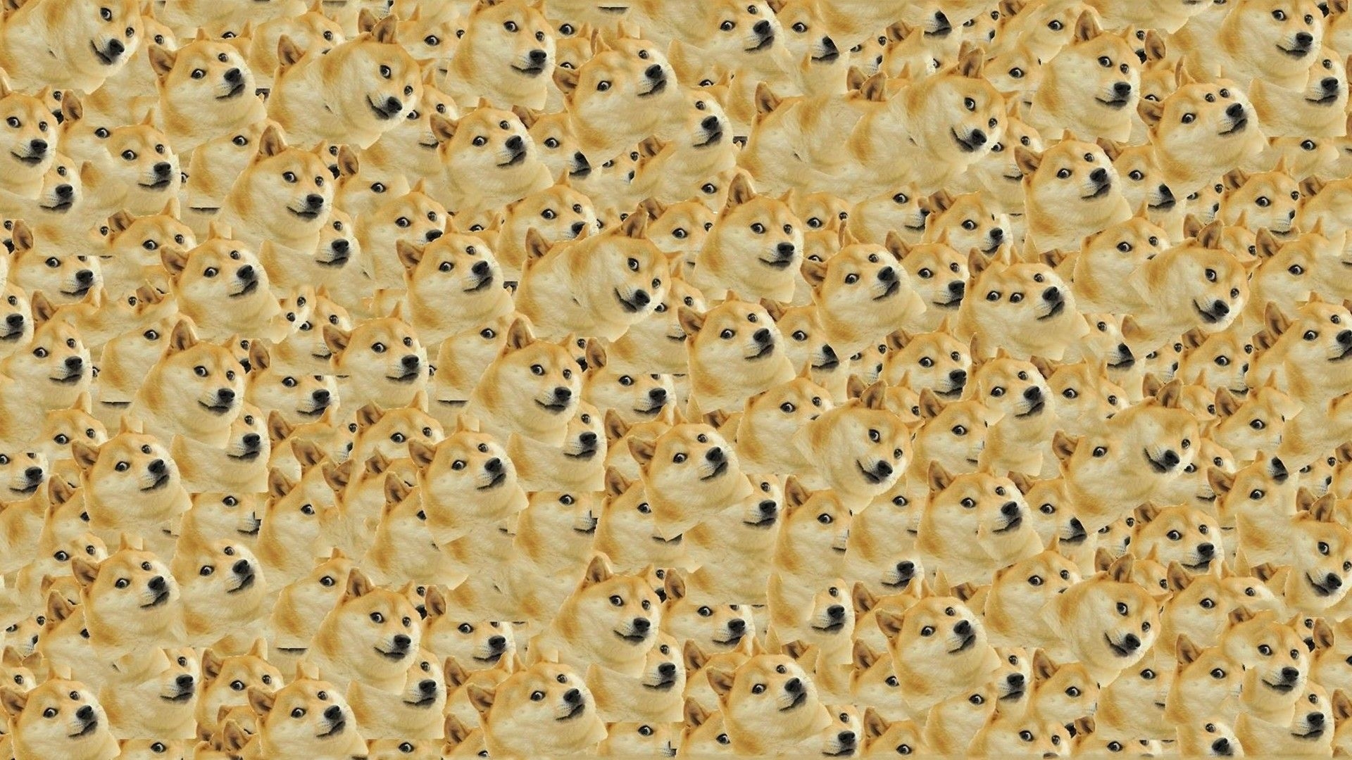 1920x1080 Doge Background, Desktop