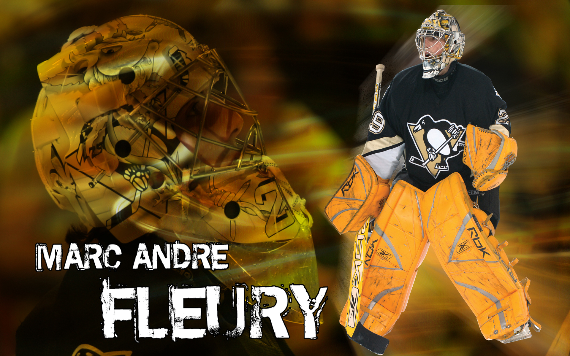 1920x1200 Pittsburgh Penguins Marc Andre Fleury wallpaper, Desktop