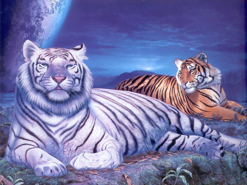 1030x770 Tiger Wallpaper 3D High Definition. Animals Wallpaper, Desktop