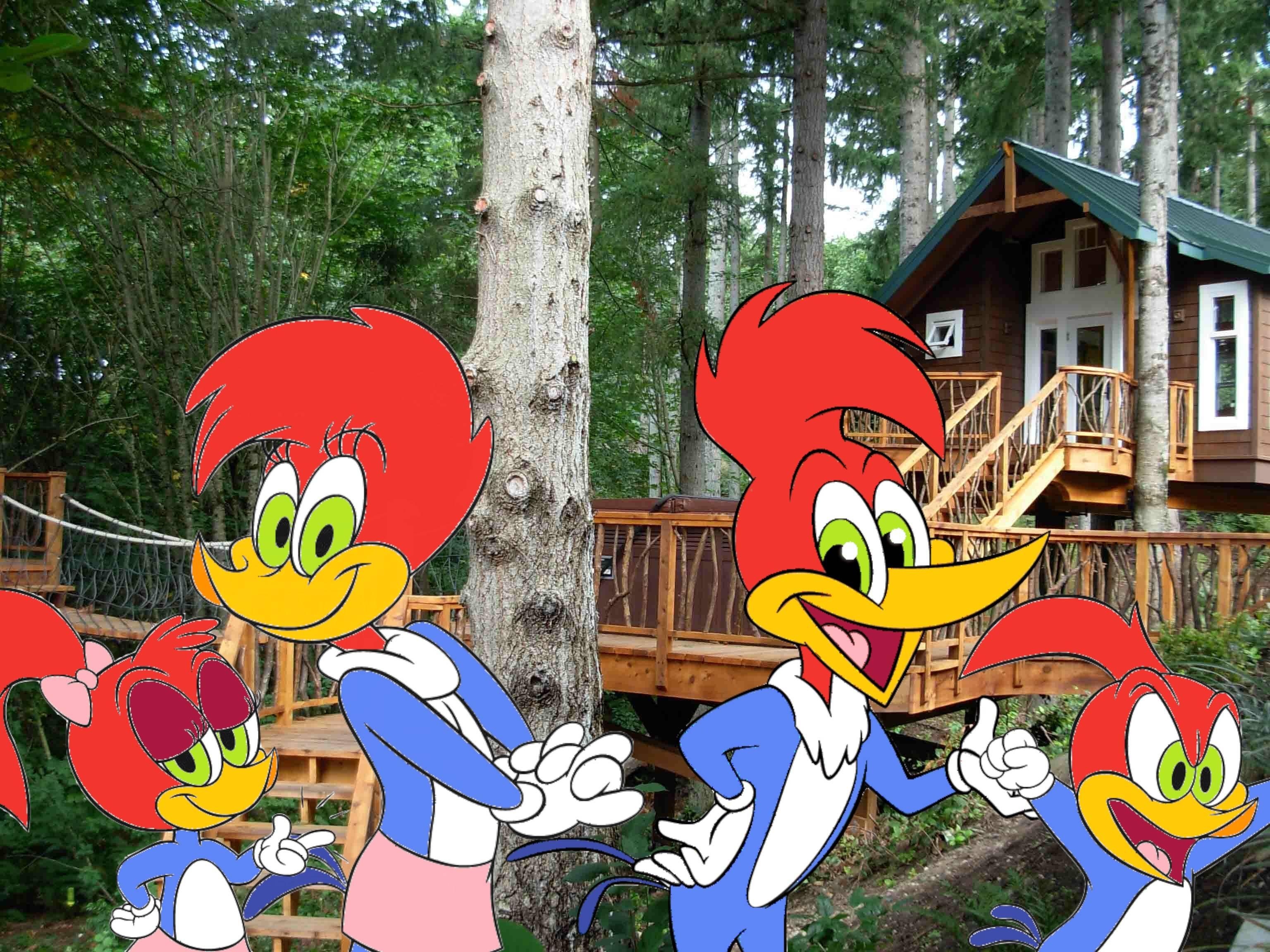 3080x2310 woody woodpecker wallpaper HD, Desktop