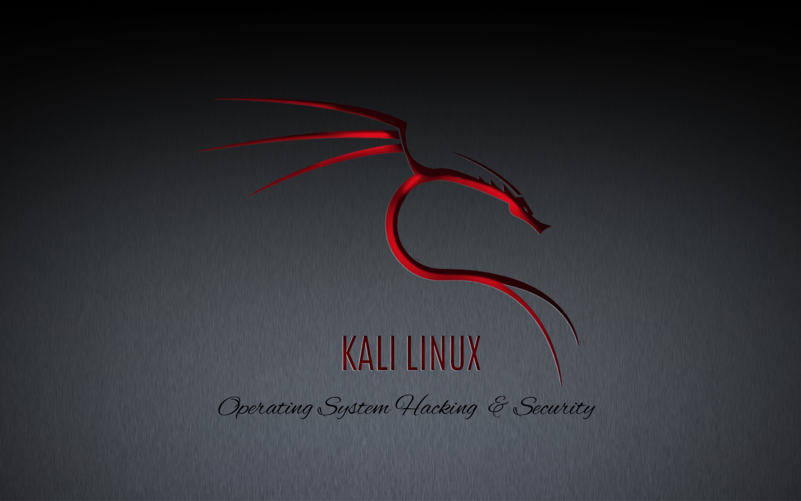 2560x1600 Kali Linux Wallpaper HD, Desktop