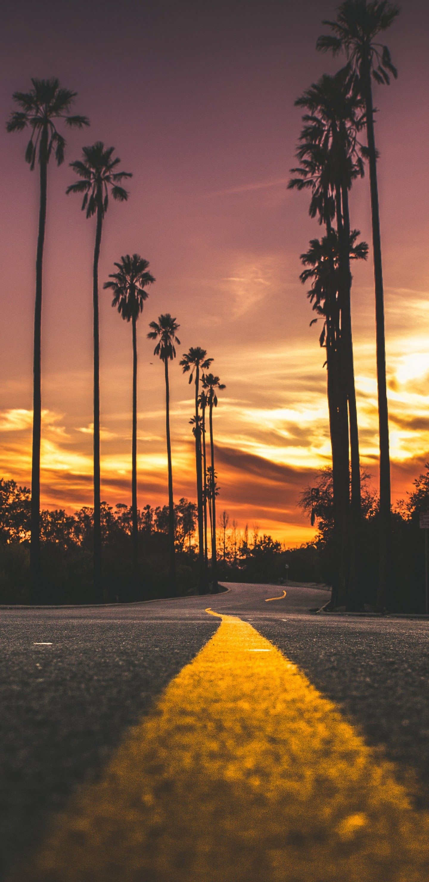 1440x2960 Sunset Road Landscape Scenery 4K Wallpaper, Phone