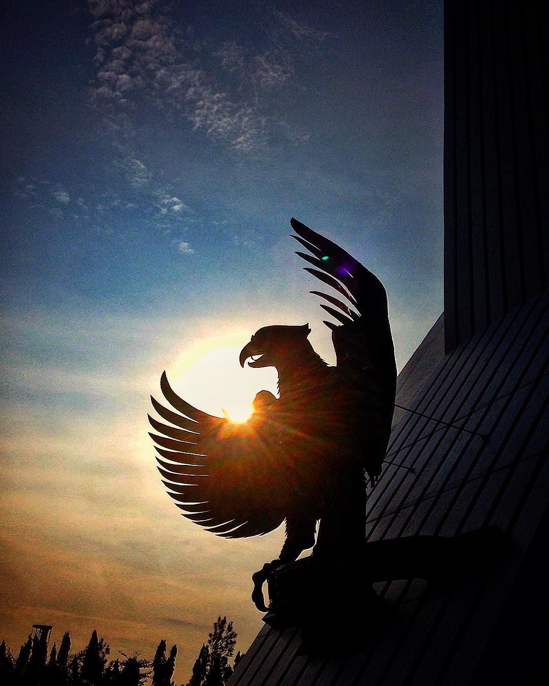 1080x1350 Garuda Pancasila, Indonesia's National Symbol. #silhouette #sunrise #morning #pancasila #garuda #burunggar. Foto alam, Fotografi alam, Lambang negara, Phone