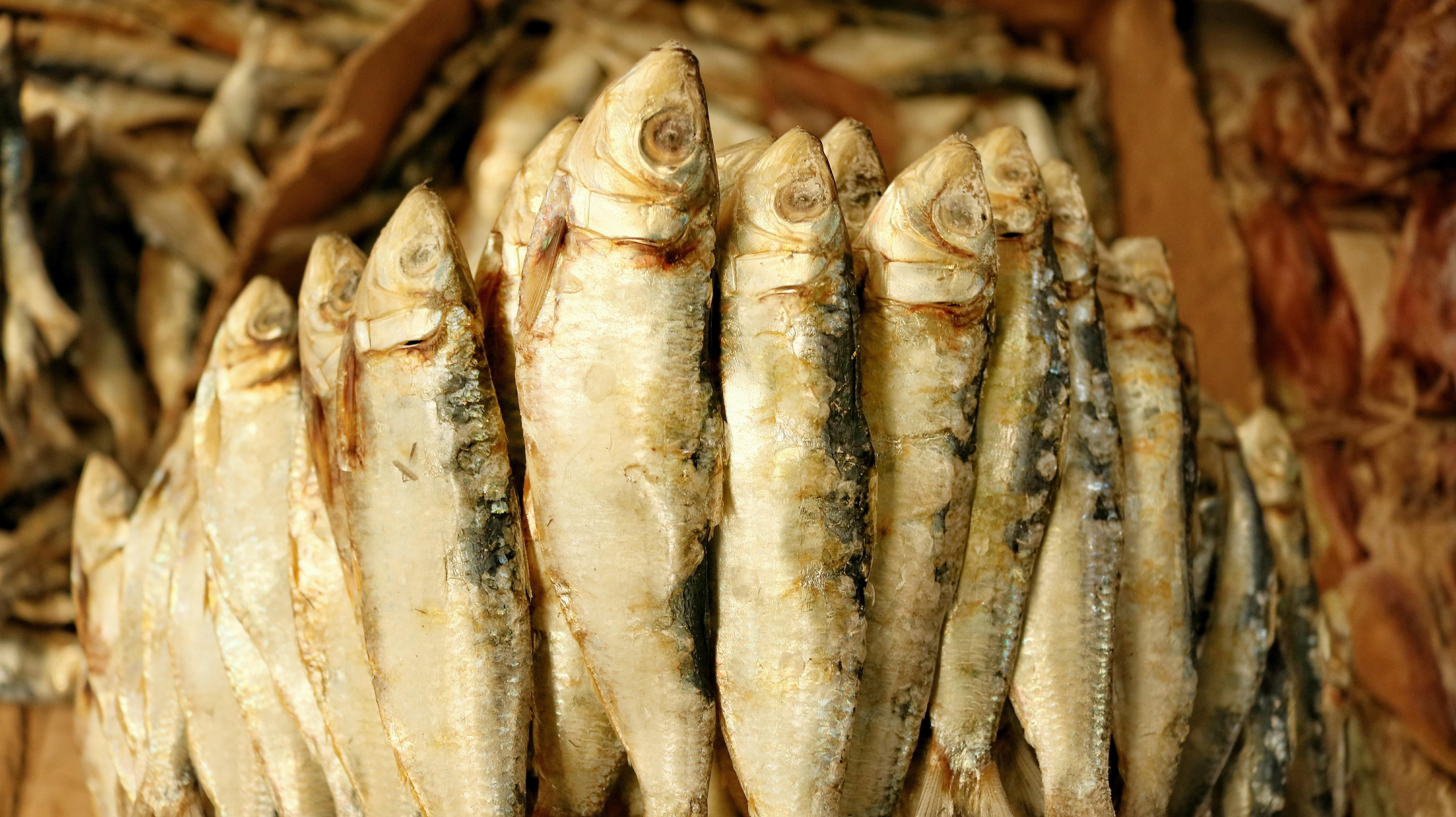 6000x3370 Sardines Picture. Download Free Image, Desktop