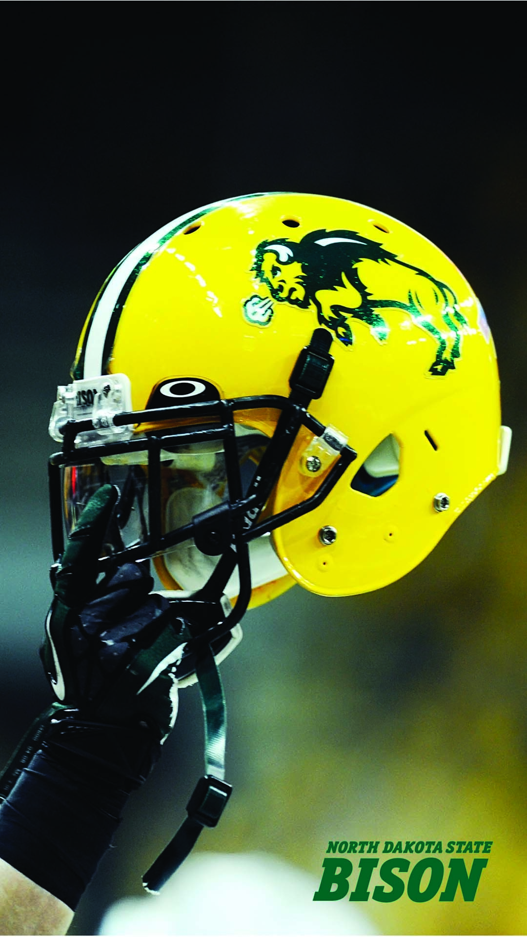 1080x1920 Free download desktop wallpaper to download your wallpaper 1 pick your favorite [] for your Desktop, Mobile & Tablet. Explore NDSU Bison Wallpaper. University of North Dakota Wallpaper, Free Bison Wallpaper, Phone