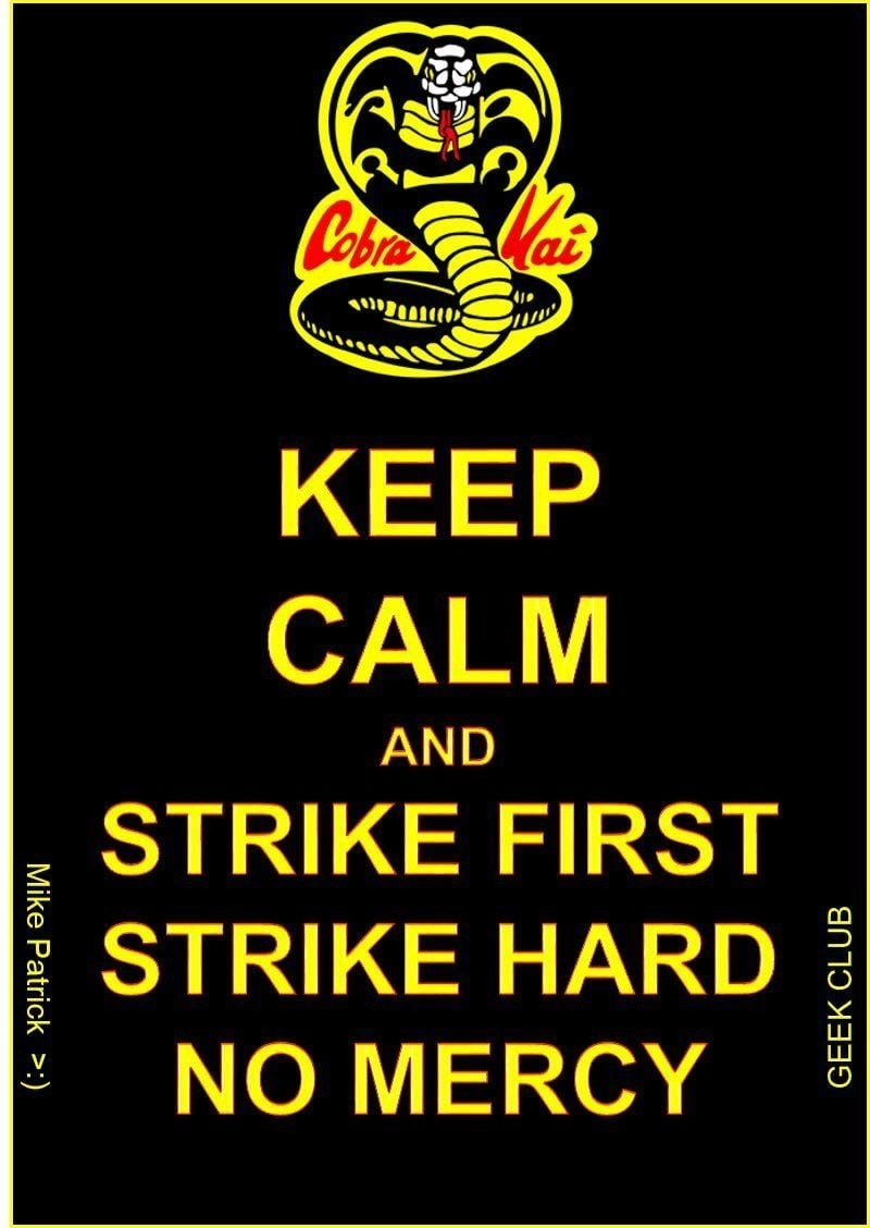 800x1130 Cobra Kai forever!. Karate kid, Cobra kai dojo, Karate kid cobra kai, Phone