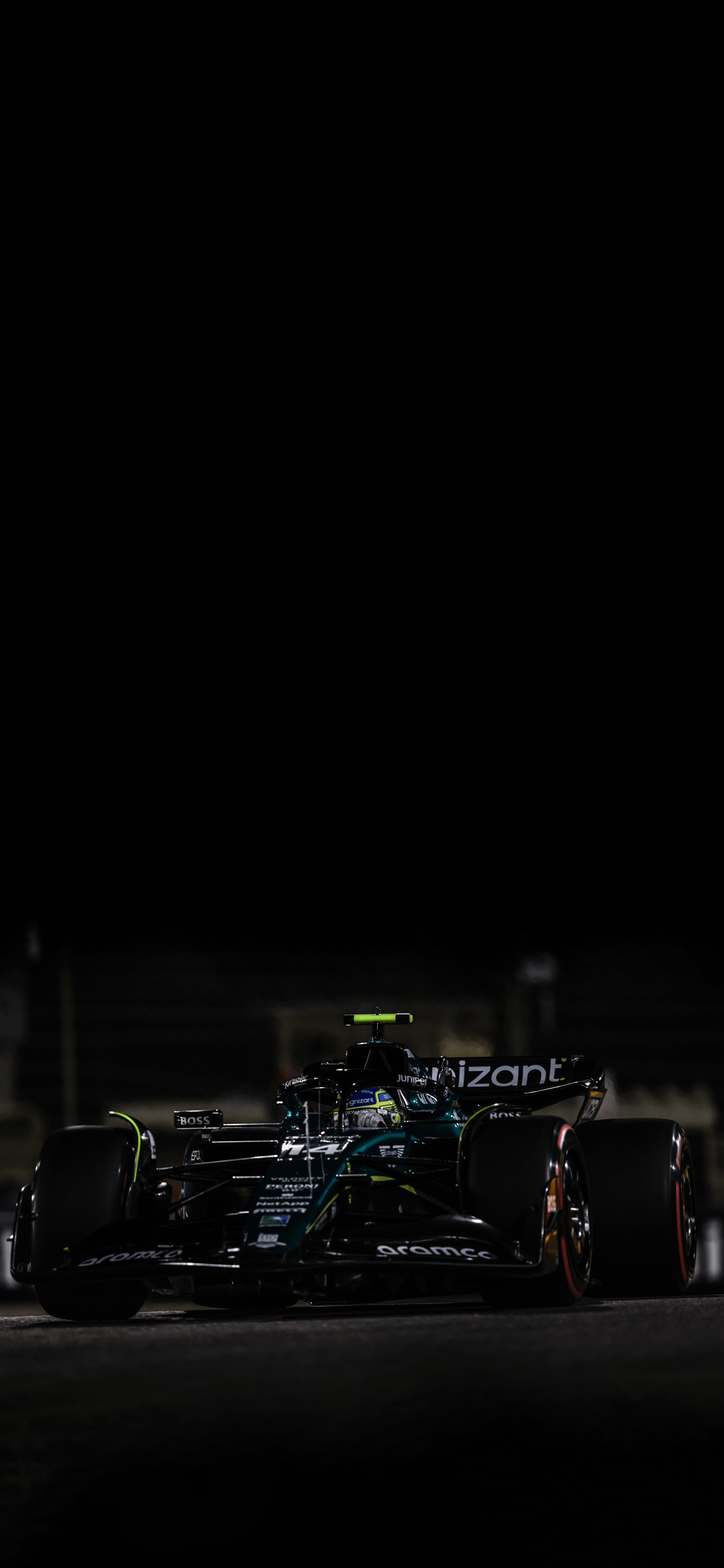 1130x2440 F1 Fernando Alonso, Phone