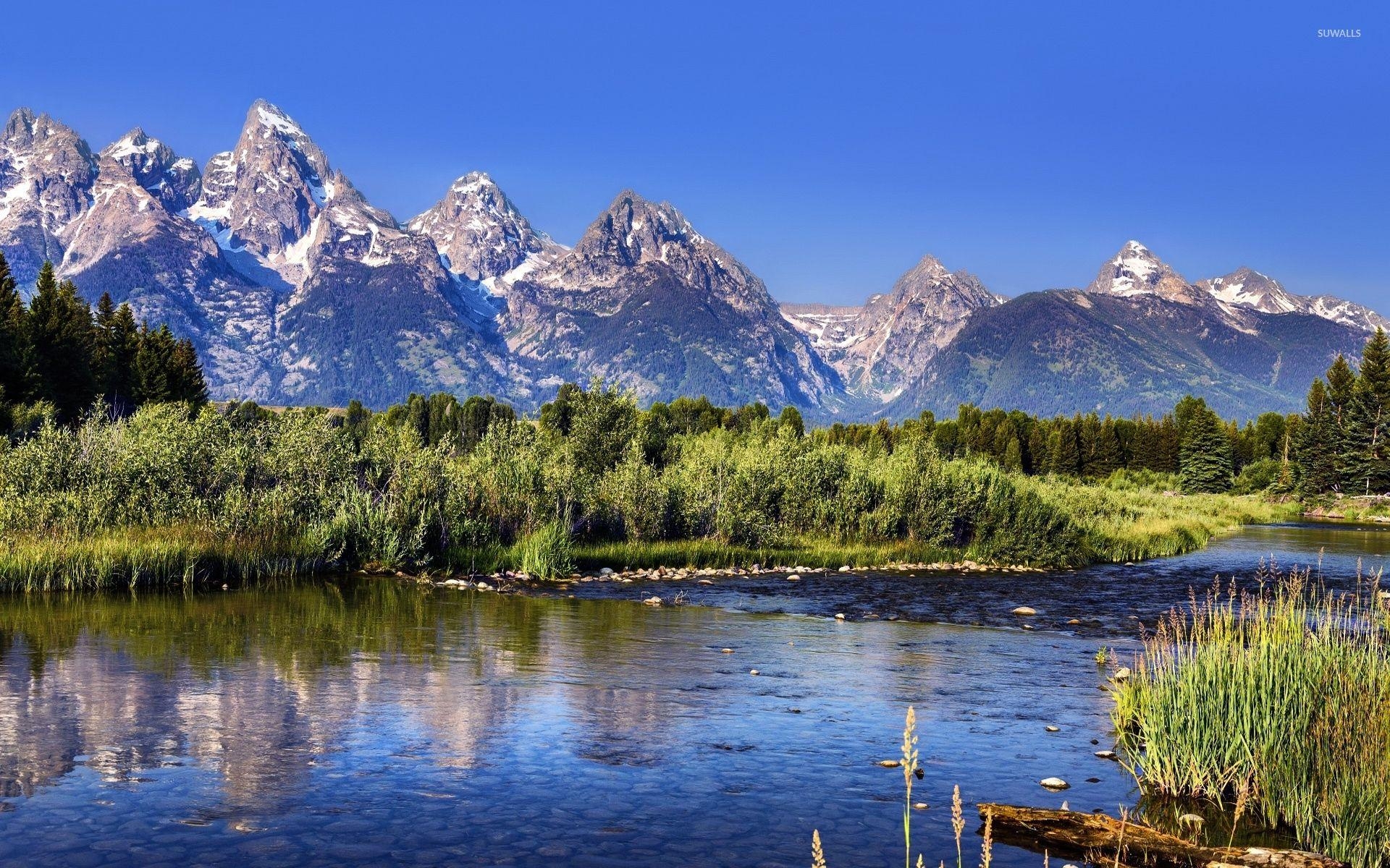 1920x1200 Green nature in Grand Teton National Park wallpaper, Desktop