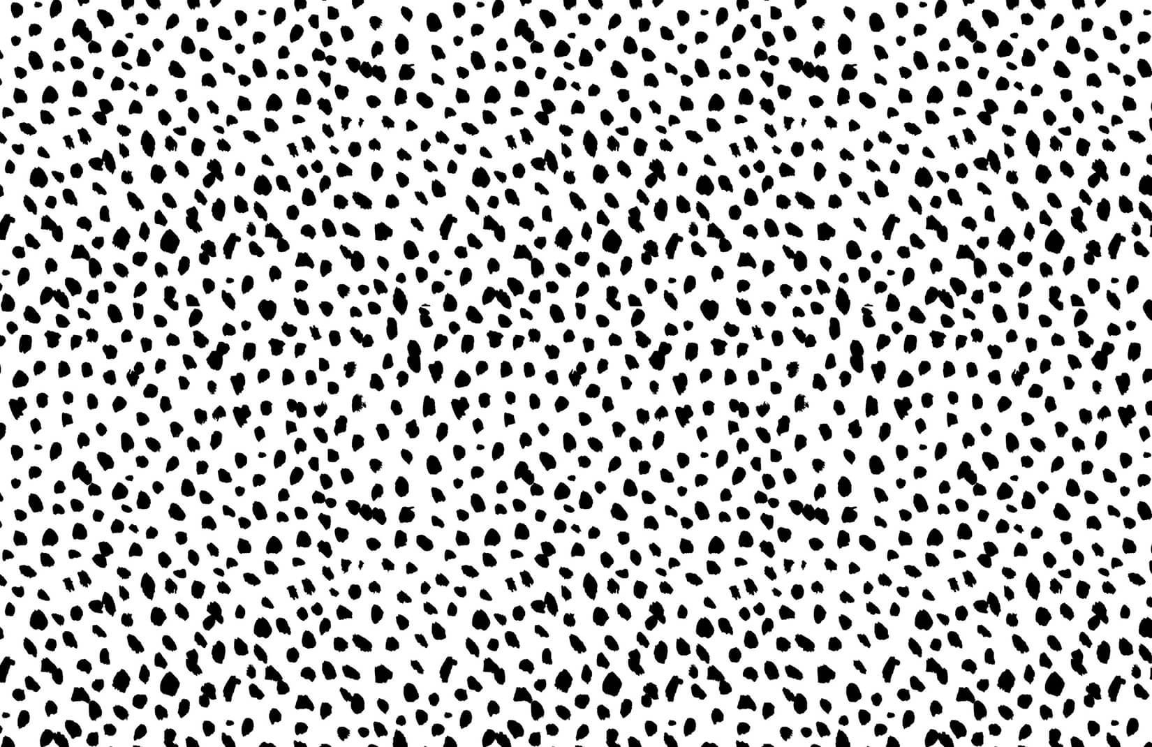 1650x1070 Black & White Dalmatian Print Wallpaper Mural. Murals Wallpaper. Cheetah print wallpaper, Leopard print wallpaper, Polka dots wallpaper, Desktop