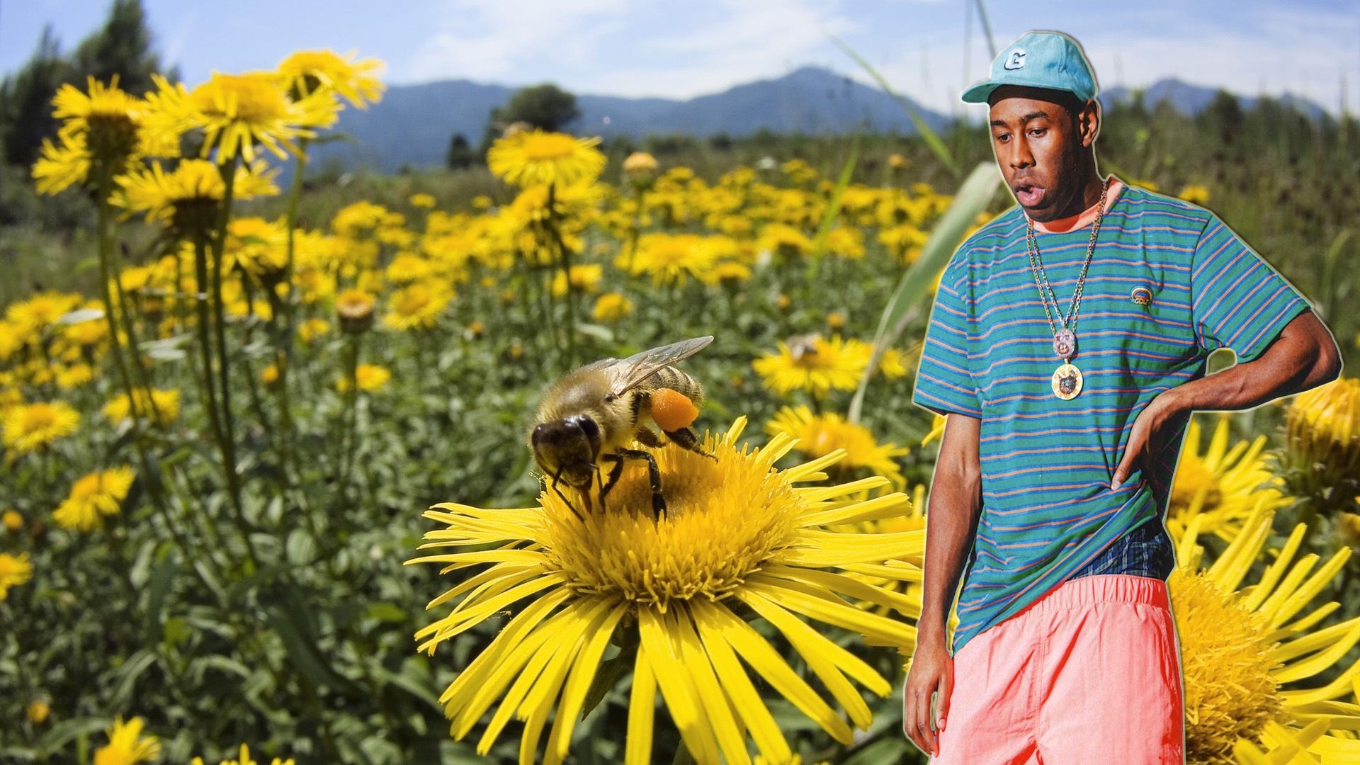 1920x1080 Tyler The Creator Background, Desktop