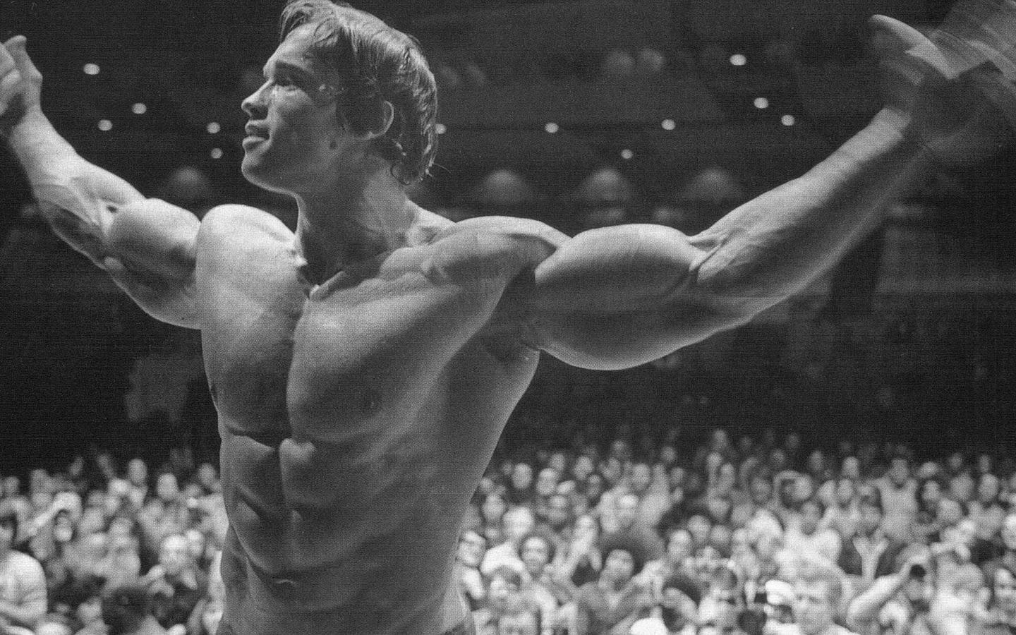 1440x900 Arnold Schwarzenegger Wallpaper 7 X 900, Desktop