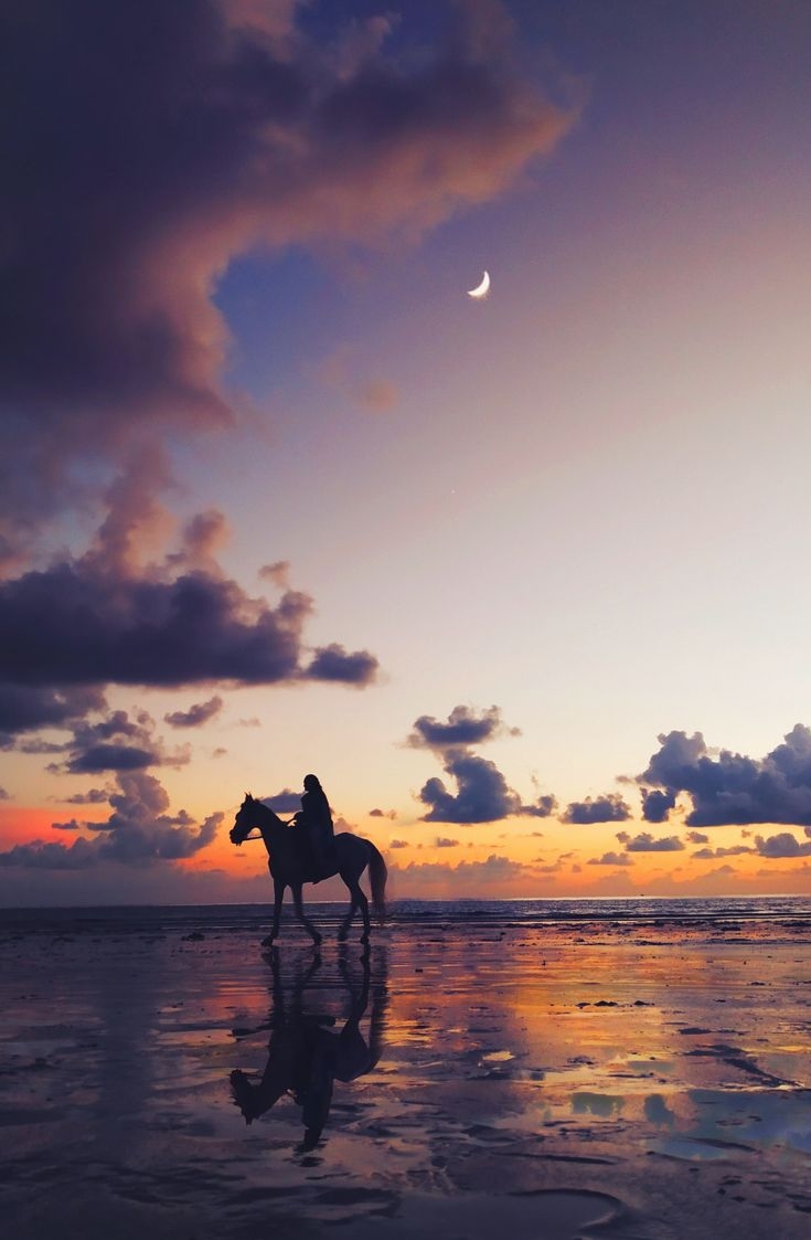 740x1130 Ilhouette photo of person riding on horse wallpaper phone. Silhouette photo, View wallpaper, Horse wallpaper, Phone