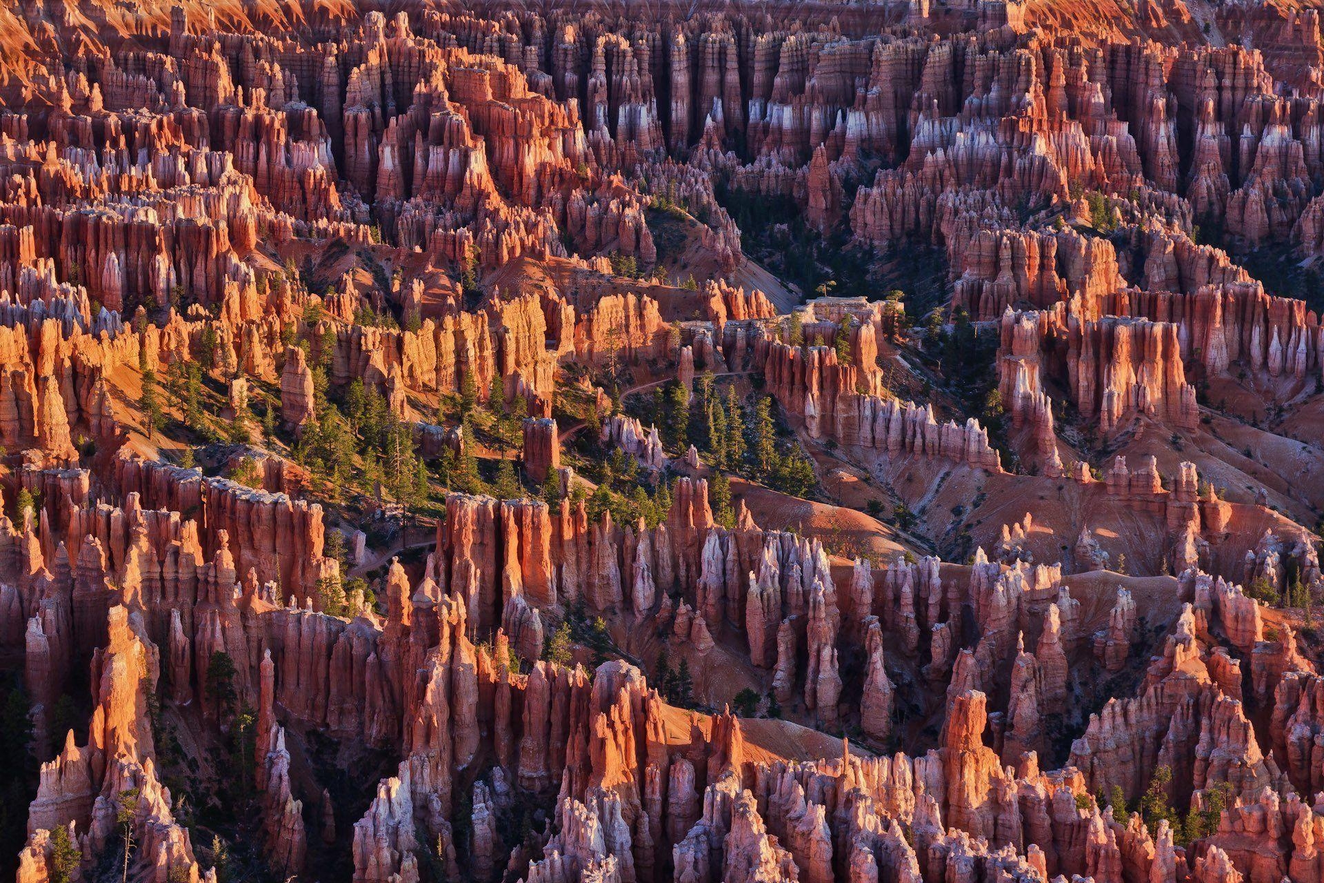 1920x1280 bryce canyon national park utah united states rock mountain tree, Desktop