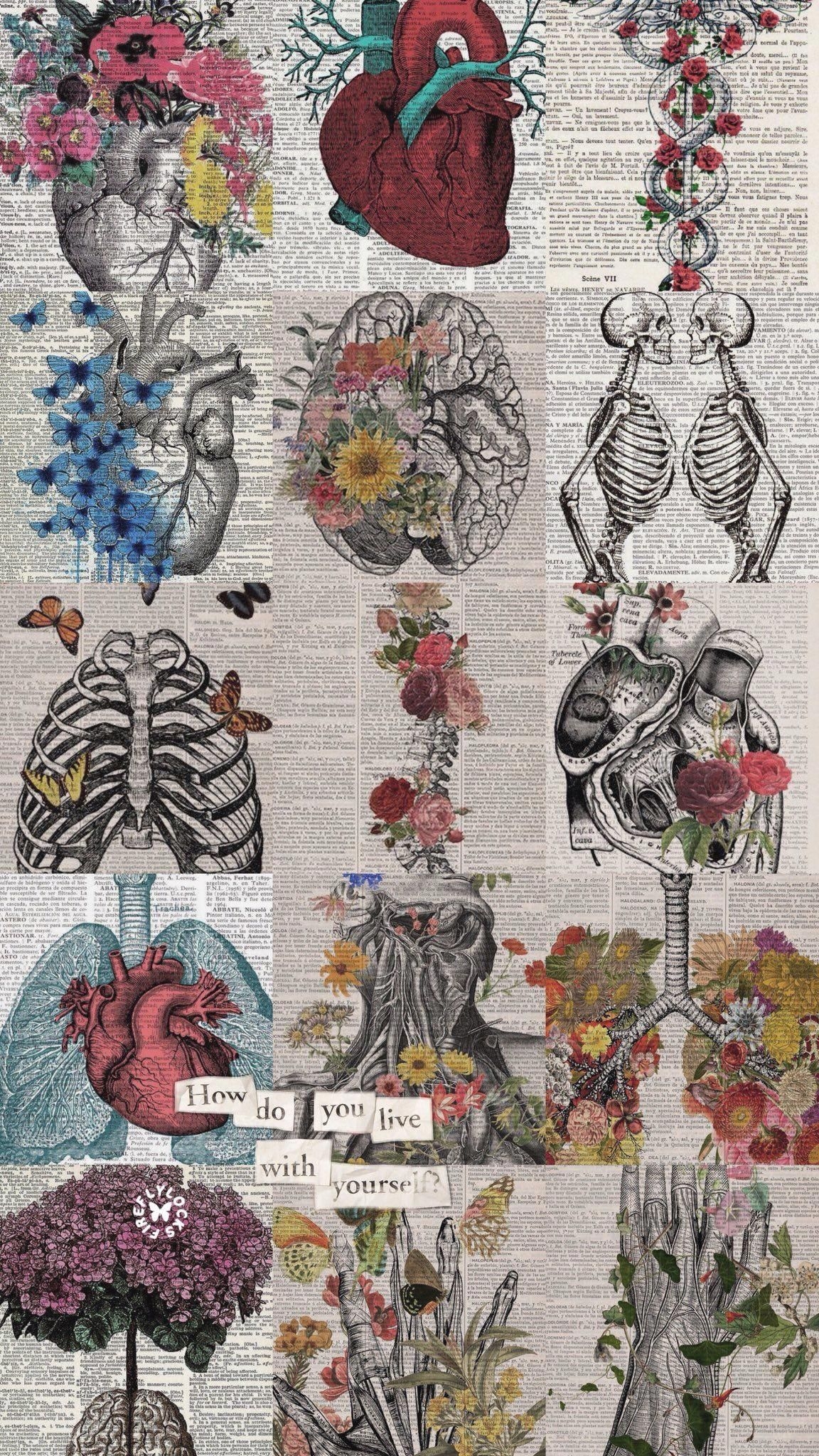 1160x2050 iphonepics. Art wallpaper, Anatomy art, Medical wallpaper, Phone