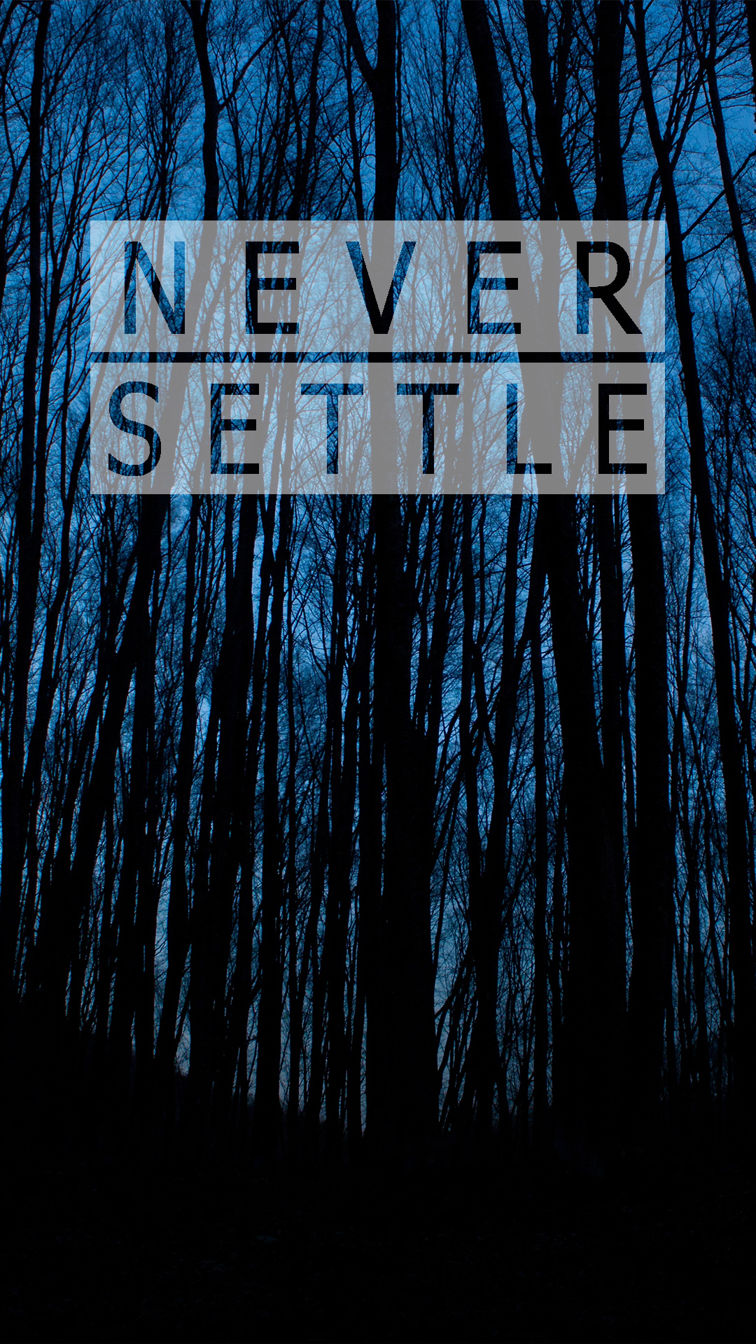 1080x1920 oneplus, Never Settle, Forest, Portrait display Wallpaper HD, Phone