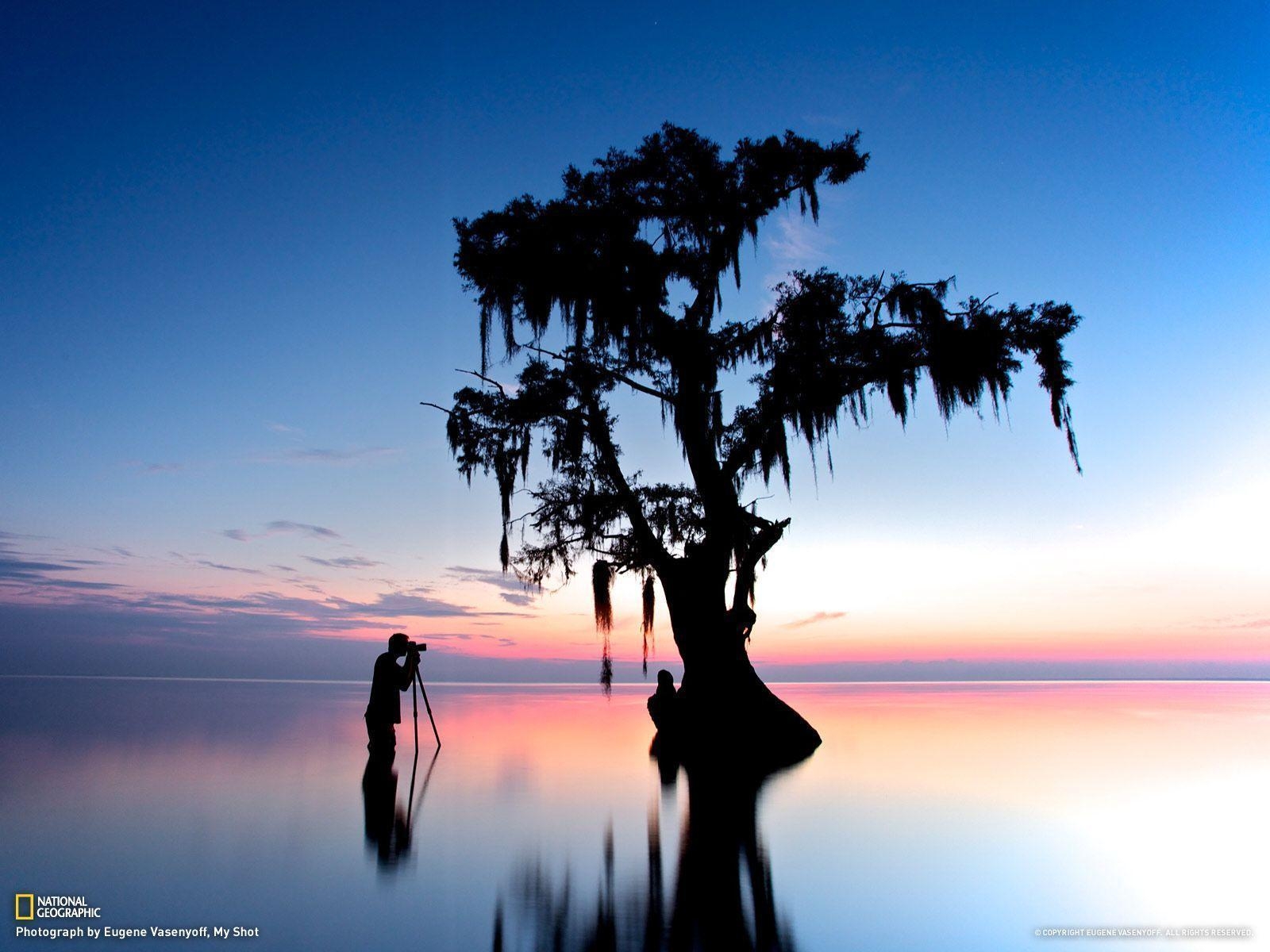 1600x1200 Lake Maurepas, Louisiana, Desktop