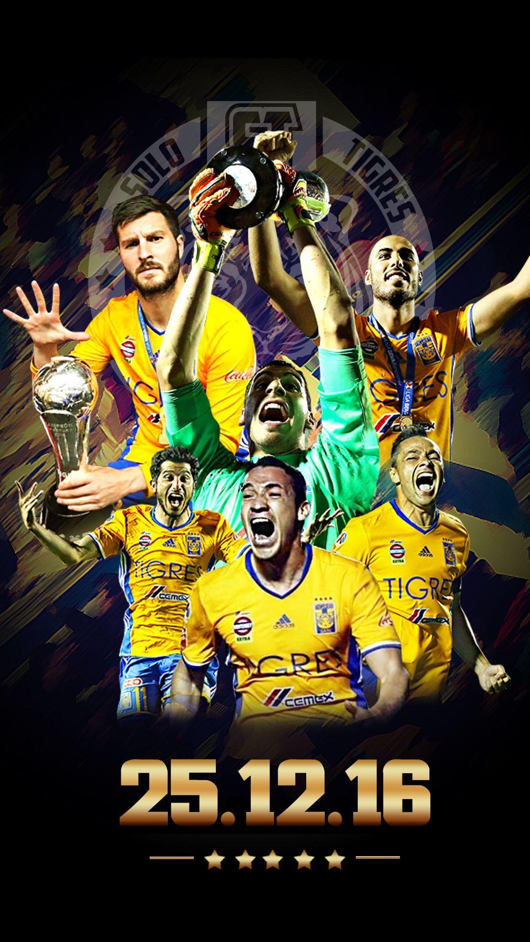 1080x1920 Wallpaper Tigres Campeón Apertura 2016, Phone