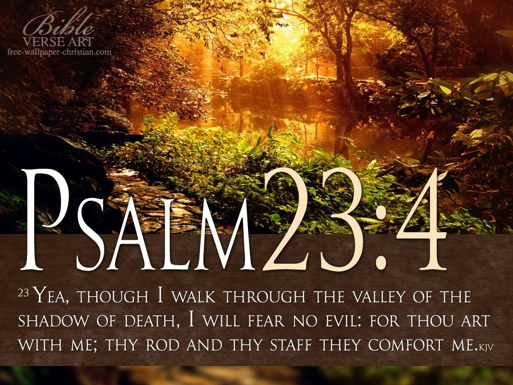 1030x770 Psalm 23 Wallpaper, Desktop