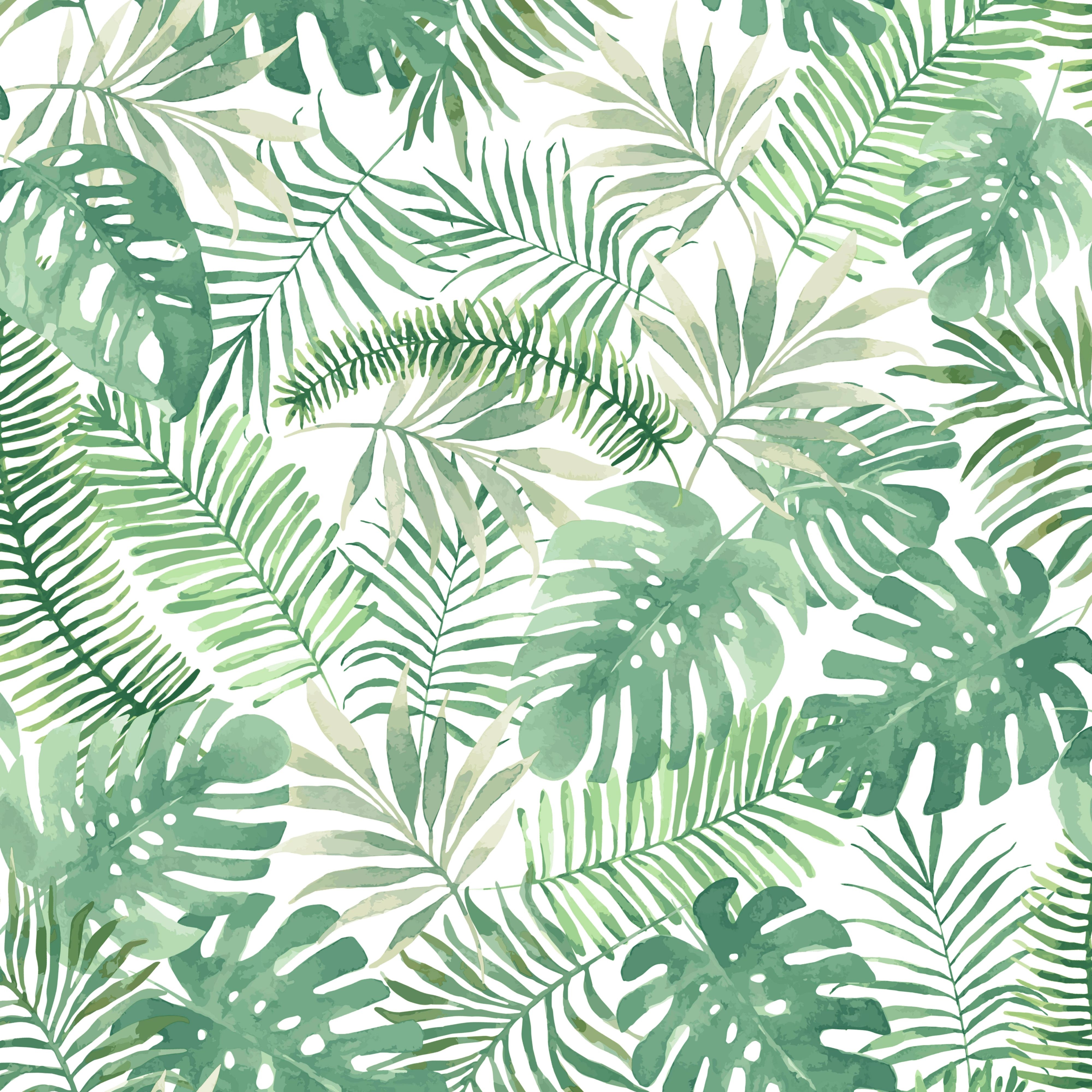 4000x4000 Superfresco Easy Mauritius Green Leaves Matt Wallpaper, Phone