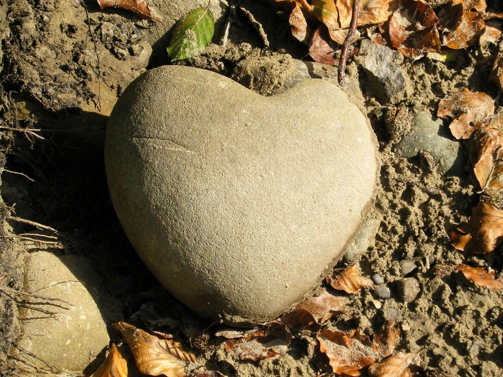 1600x1200 Misc: Heart Stone Natural Rock Stones Mud Nature Roots Leaves, Desktop