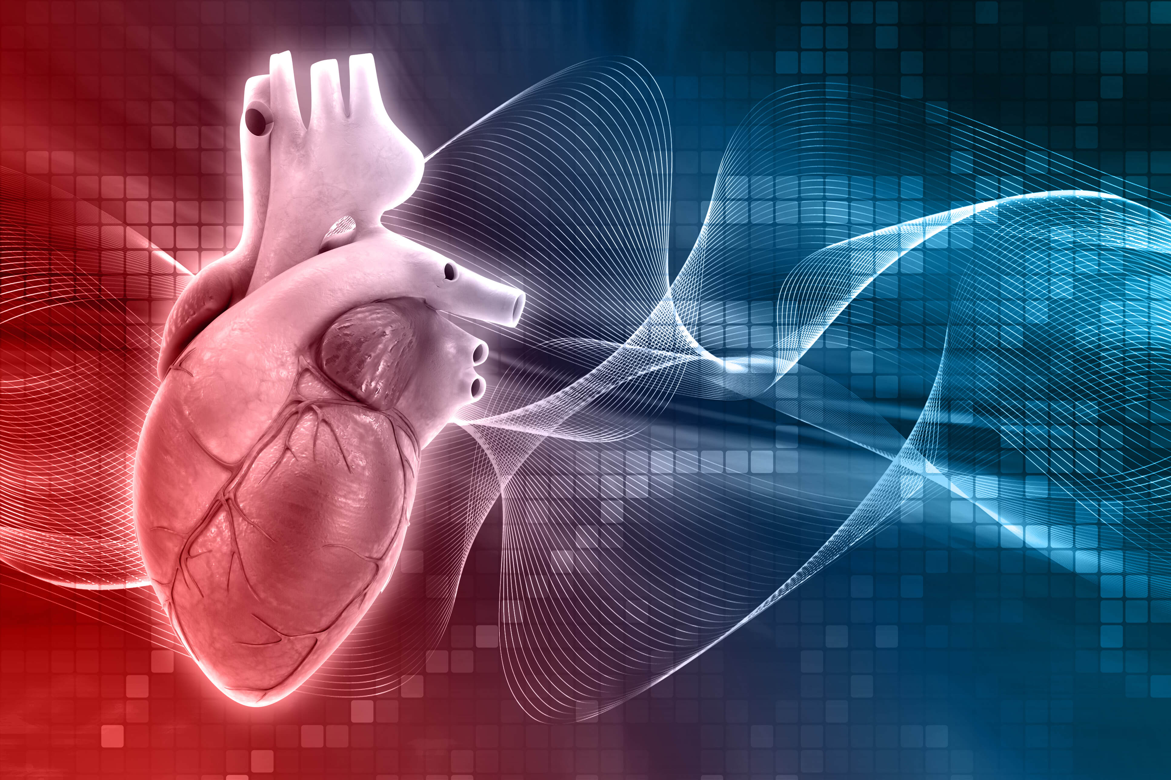 3870x2580 Complex Cardiac Patients Benefit from Multidisciplinary Care. Froedtert & MCW, Desktop