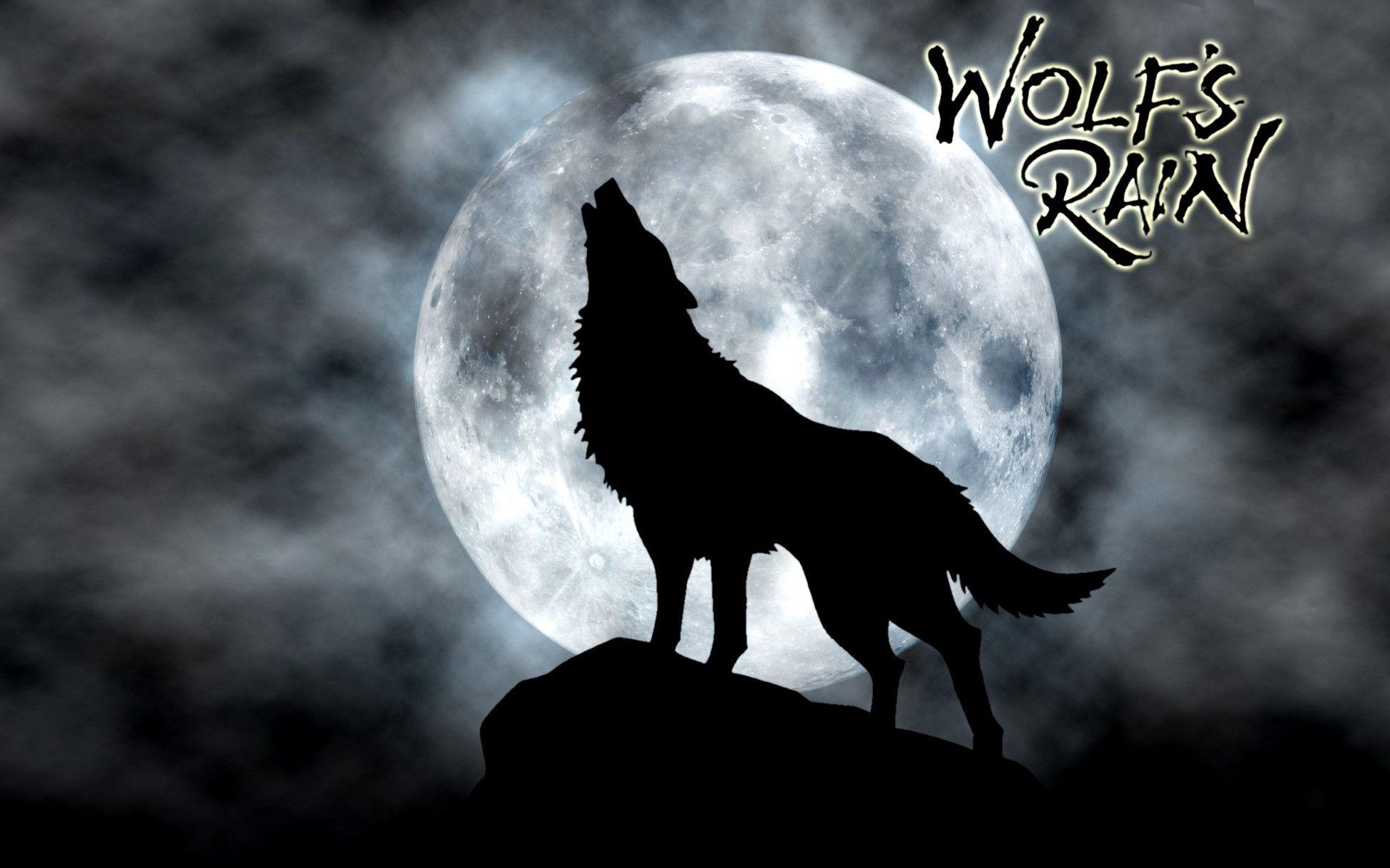 1920x1200 Wolfs Rain HD Wallpaper Wallpaper Inn, Desktop