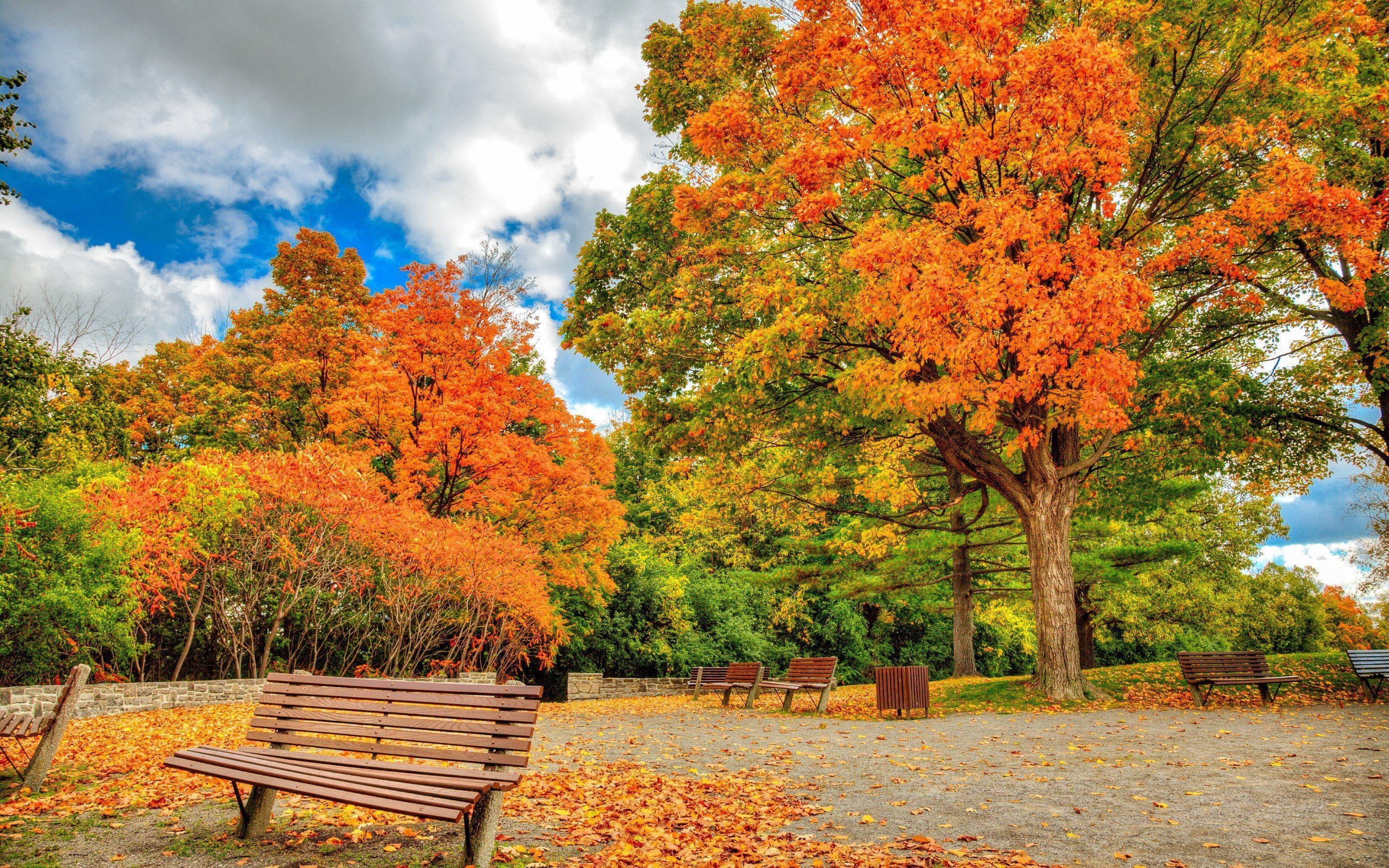 2880x1800 Autumn in Ottawa Wallpaper · 4K HD Desktop Background Phone Image, Desktop