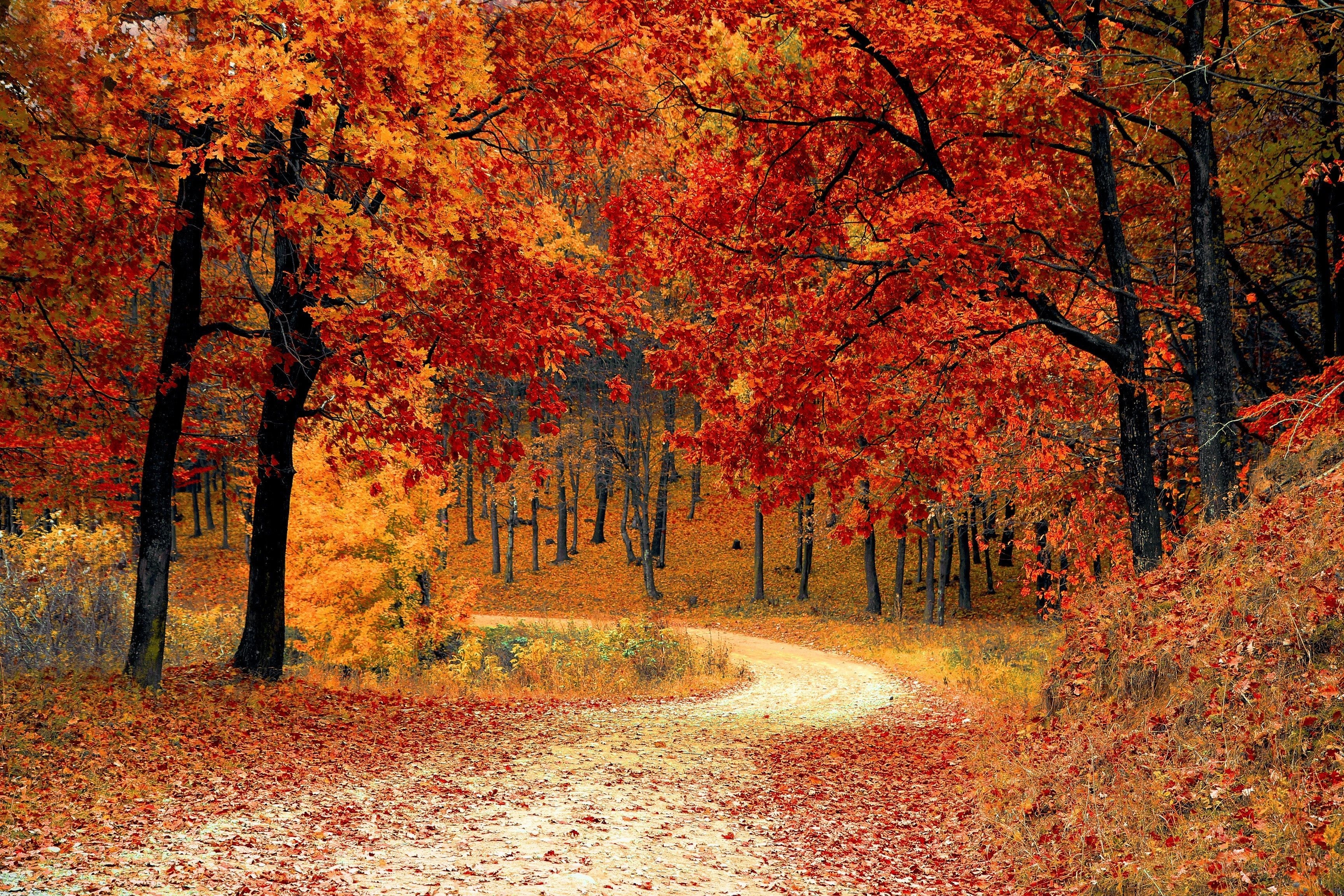 3460x2310 Hello Autumn Laptop Wallpaper Free Hello Autumn Laptop Background, Desktop