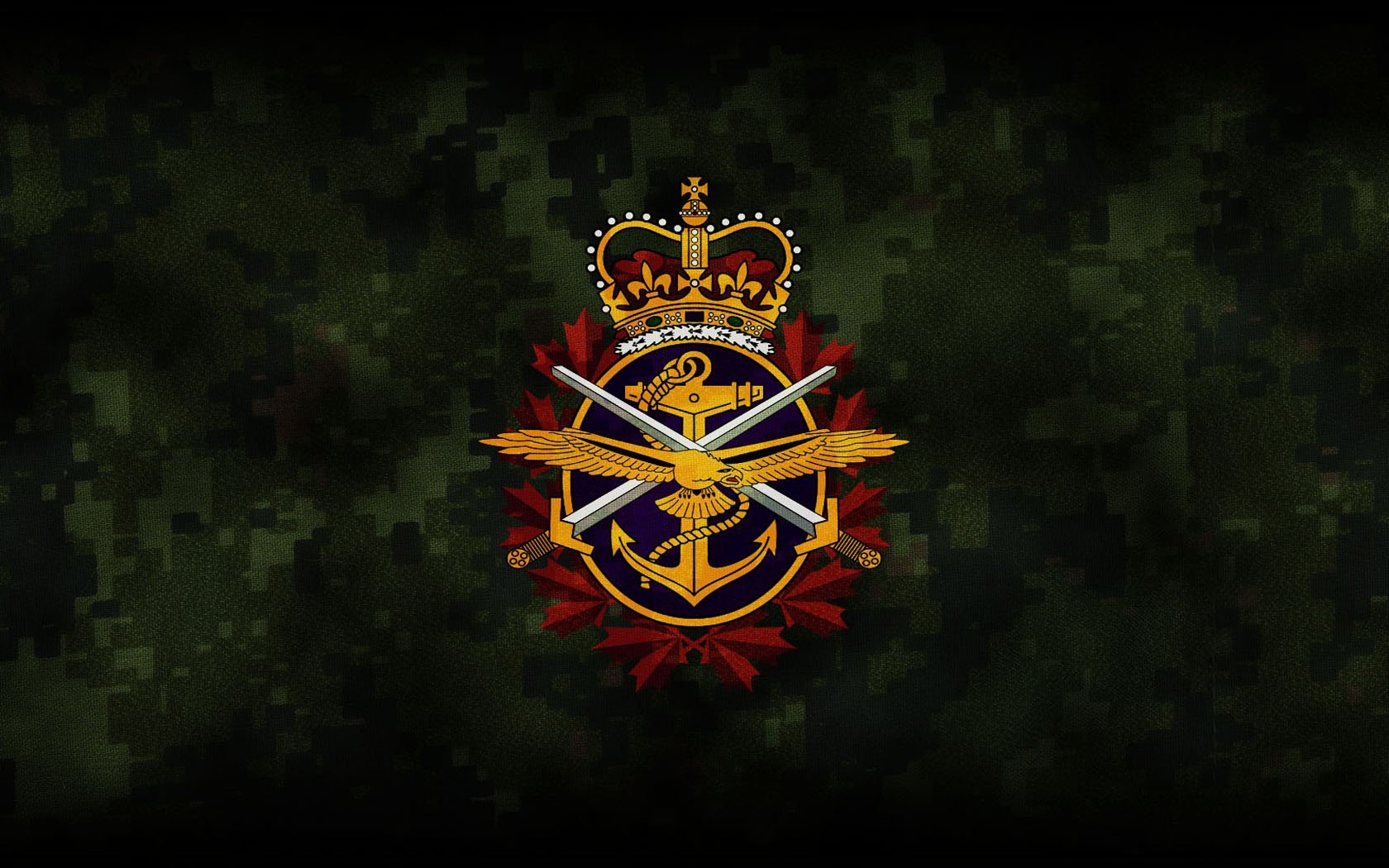 1680x1050 Canadian Military Wallpaper, Desktop