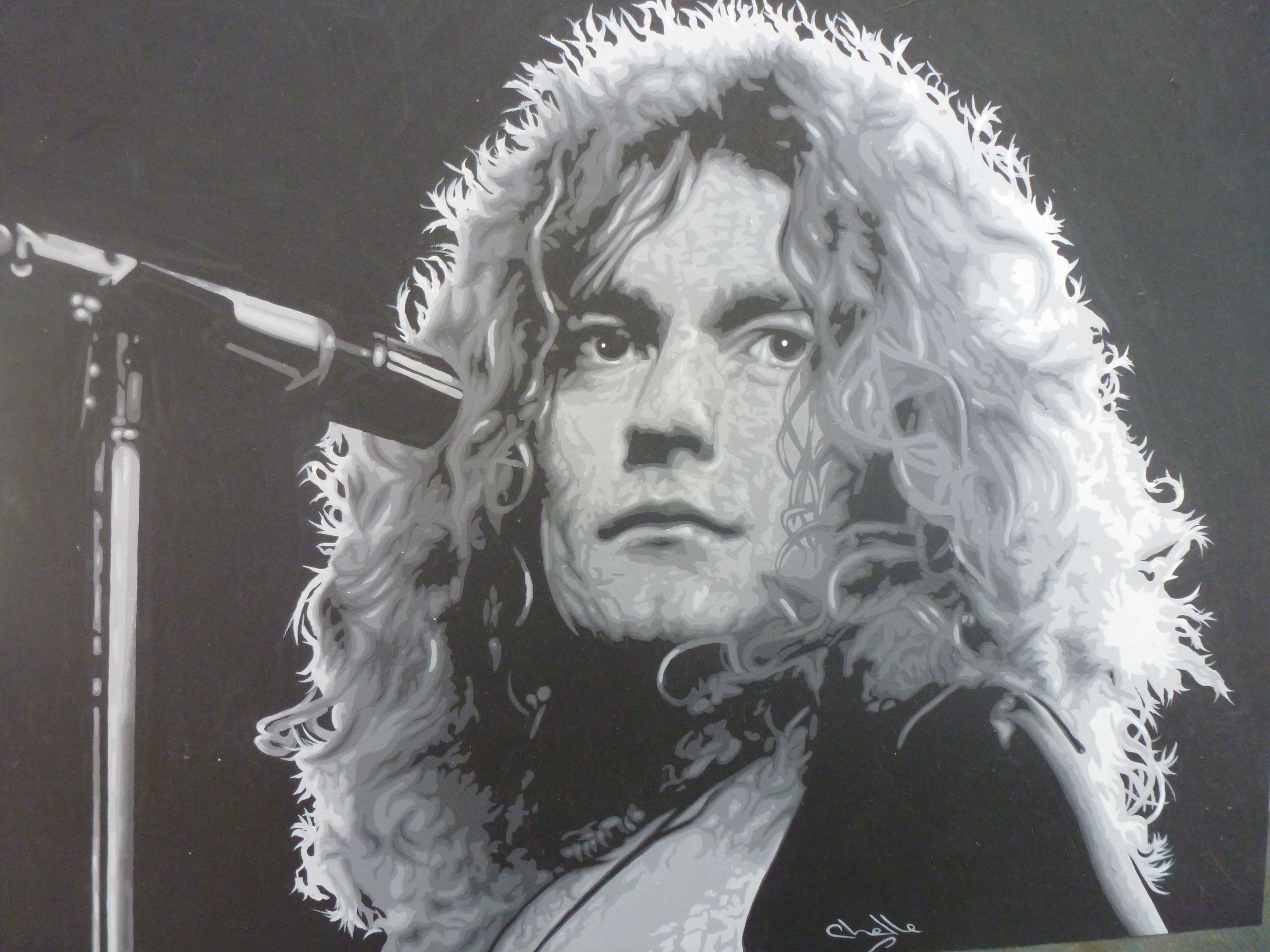 4320x3240 1401x788px Robert Plant 249.11 KB, Desktop