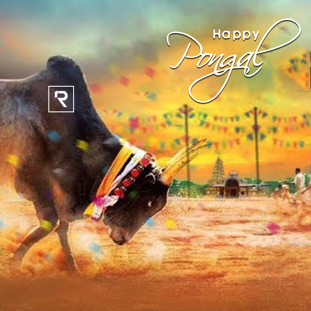 1080x1080 Wish You Happy Mattu Pongal! #recahec #pongal #mattupongal #jallikattu. Most beautiful indian actress, Beautiful indian actress, List website, Phone