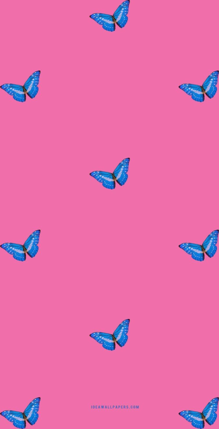 760x1490 Butterfly on pink background Wallpaper, iPhone Wallpaper, Phone