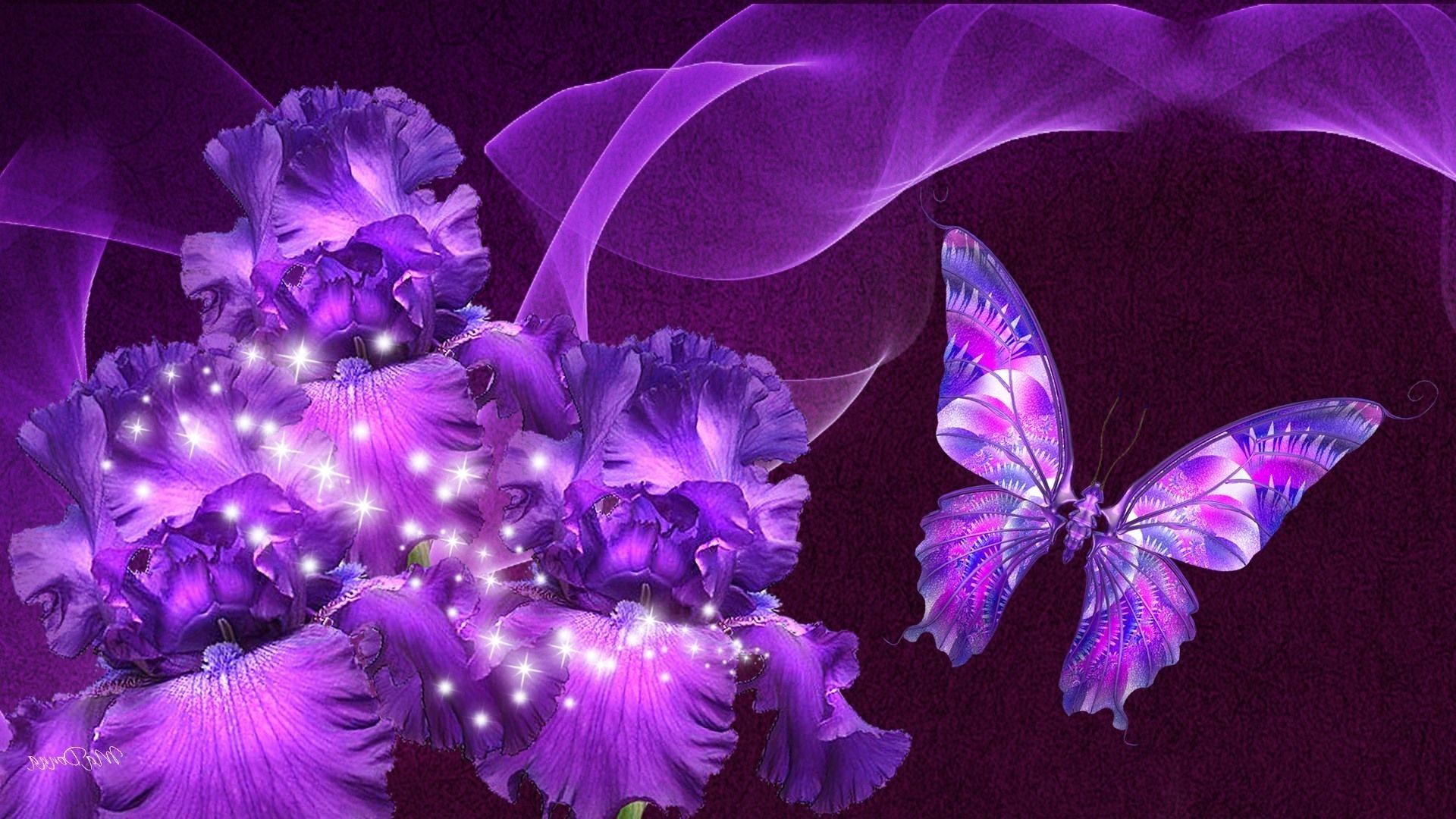 1920x1080 Free download purple butterfly wallpaper HD [], Desktop