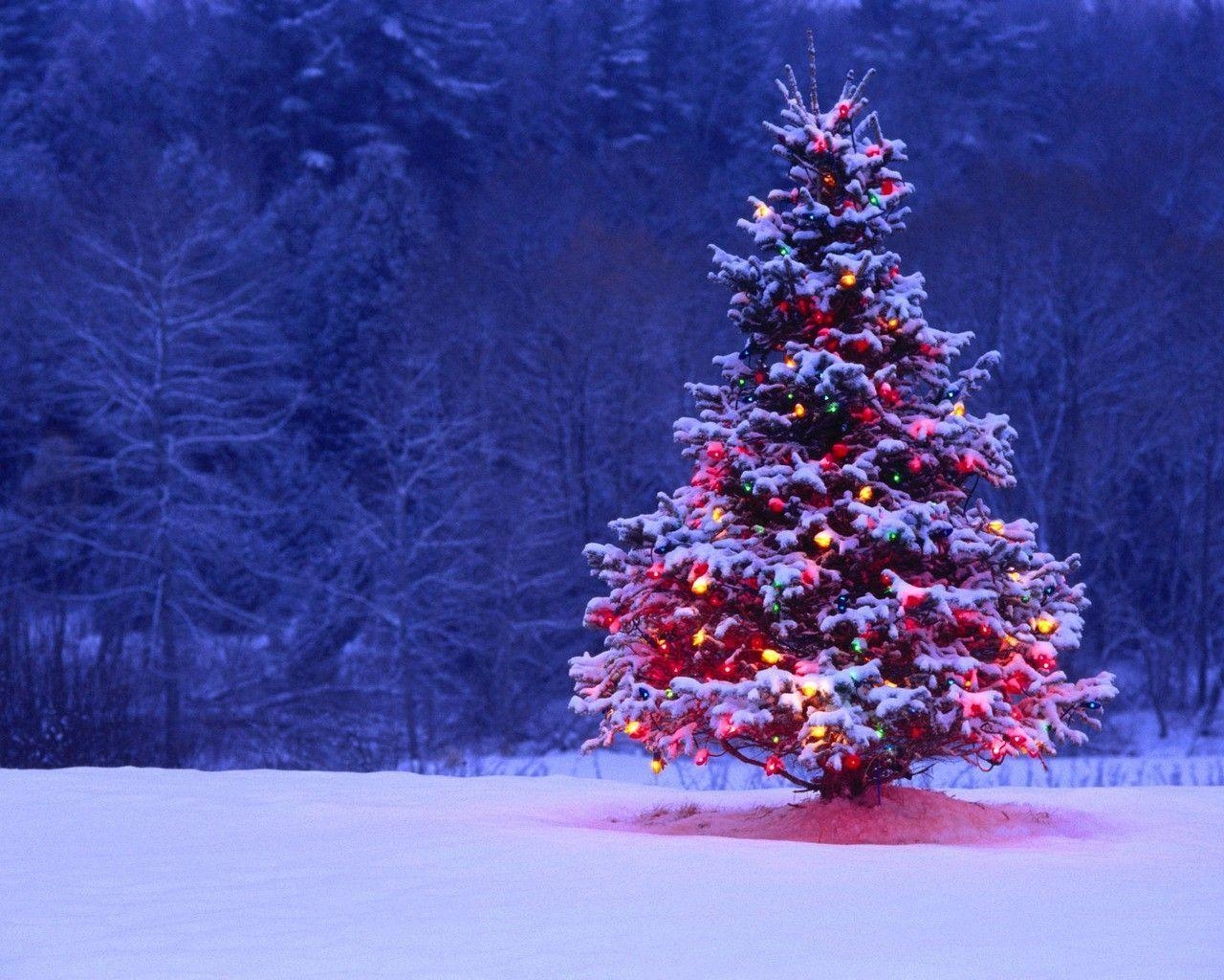 1280x1030 Real Snowy Christmas Background, Desktop